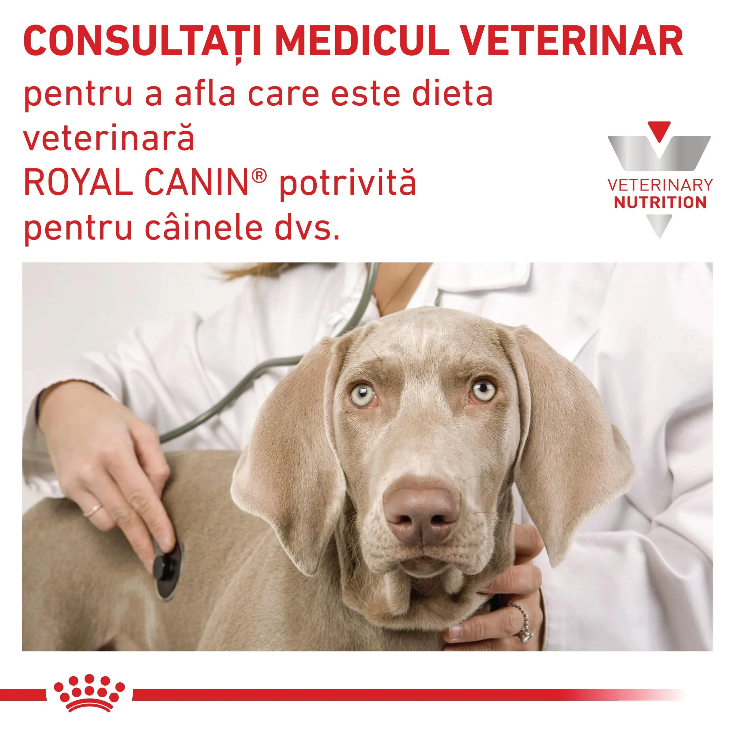 ROYAL CANIN VD Satiety, XS-XL, dieta veterinara, hrana uscata caini, obezitate, 12kg - Image 8
