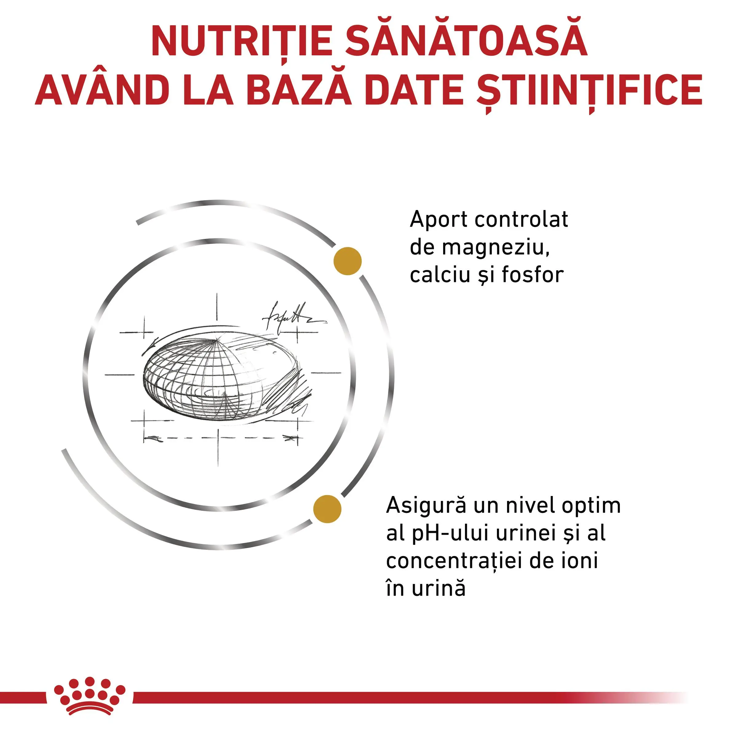 ROYAL CANIN VD Urinary S/O, dieta veterinara, hrana uscata pisici, sistem urinar, 3.5kg - Image 7