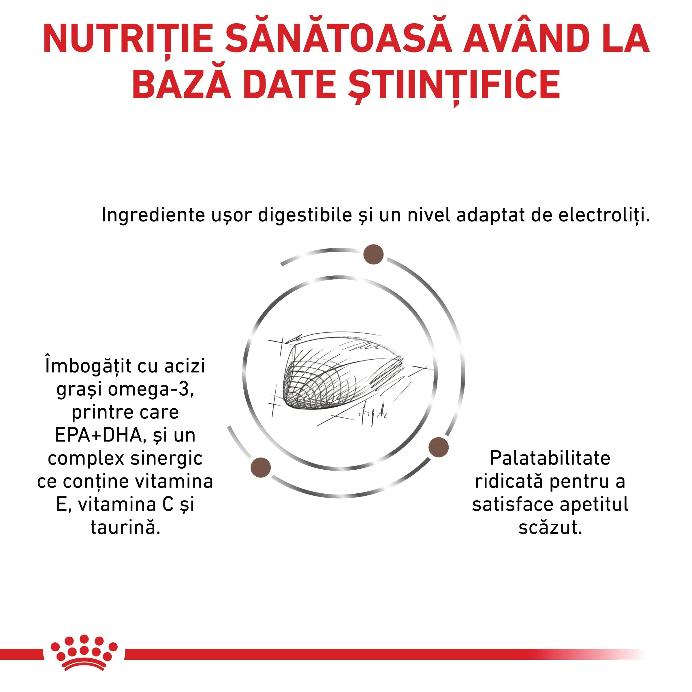 ROYAL CANIN VD Gastrointestinal, dieta veterinara, hrana uscata pisici, sistem digestiv, 400g - Image 7