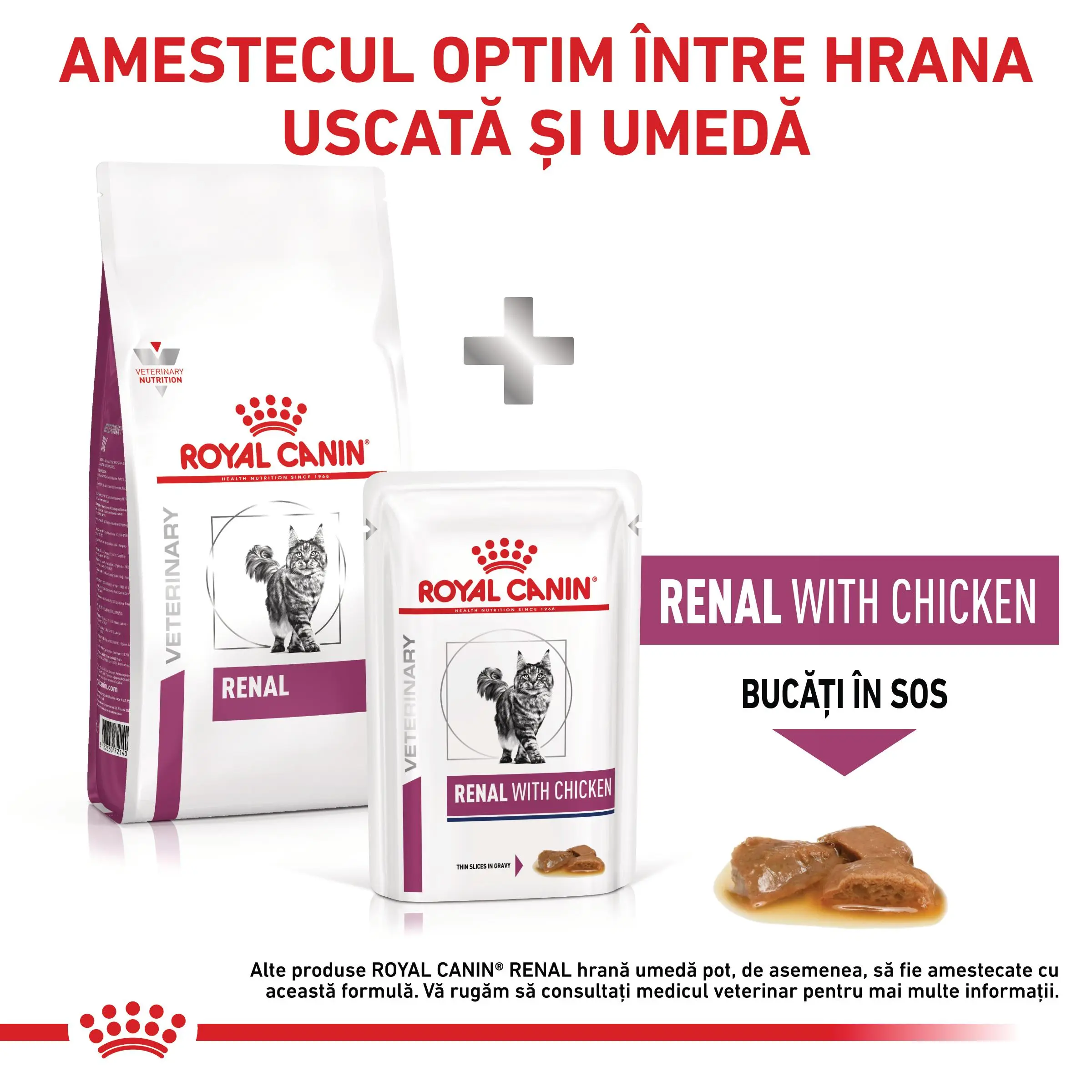 ROYAL CANIN VD Renal, dieta veterinara, hrana uscata pisici, sistem renal, 2kg - Image 8