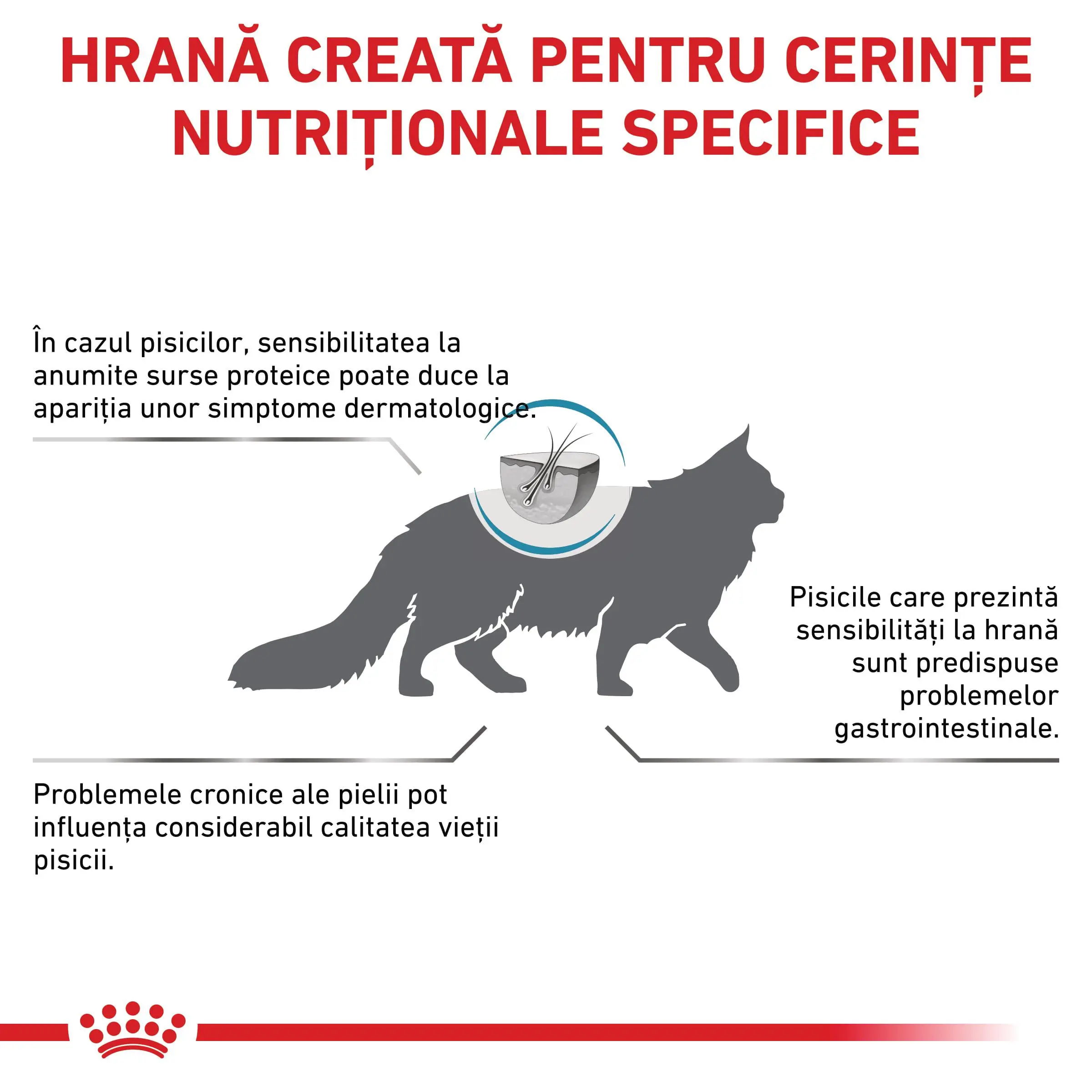 ROYAL CANIN VD Sensitivity Control, dieta veterinara, hrana uscata pisici, afectiuni dermatologice, 3.5kg - Image 3