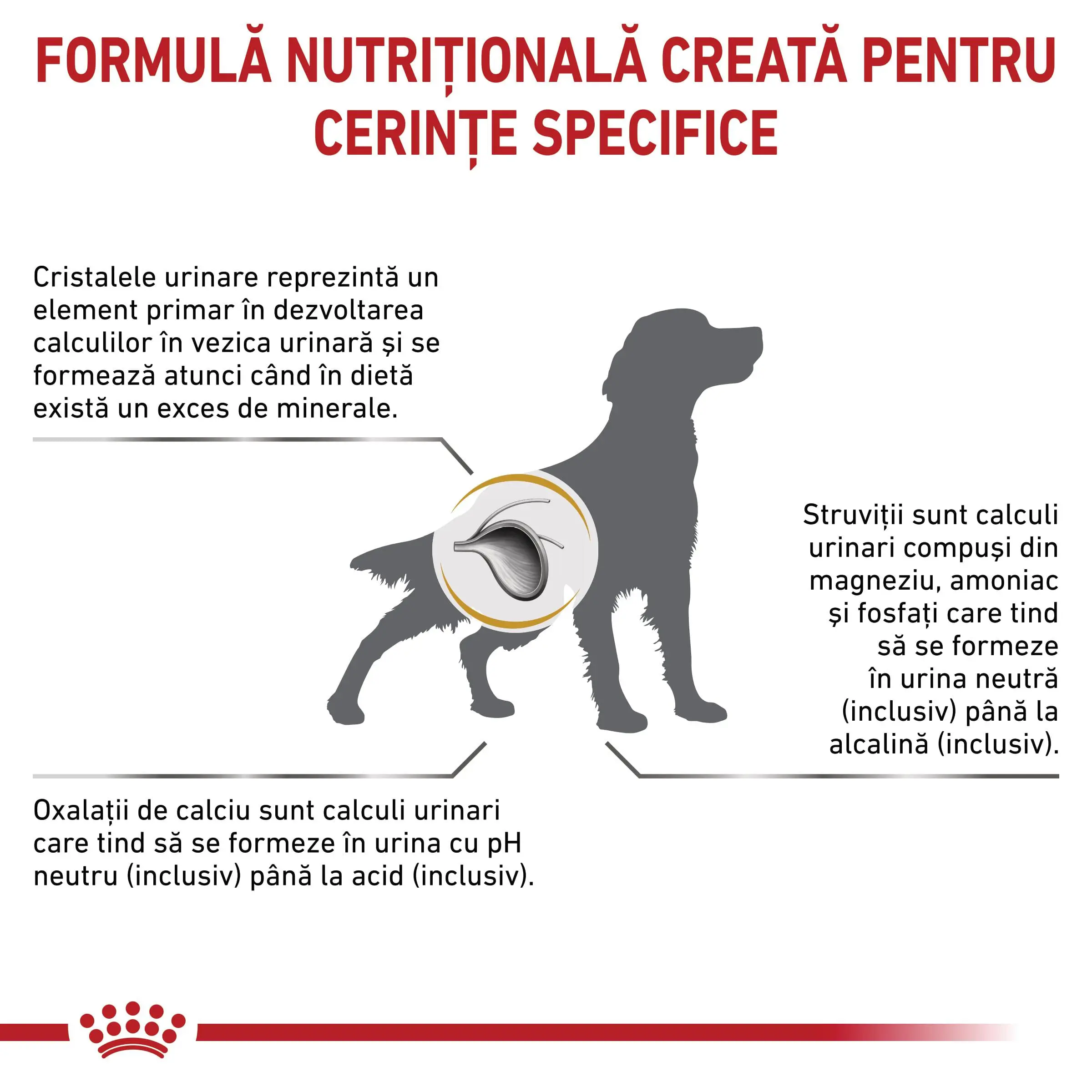 ROYAL CANIN VD Urinary S/O, M-XL, dieta veterinara, hrana uscata caini, sistem urinar, 13kg - Image 3