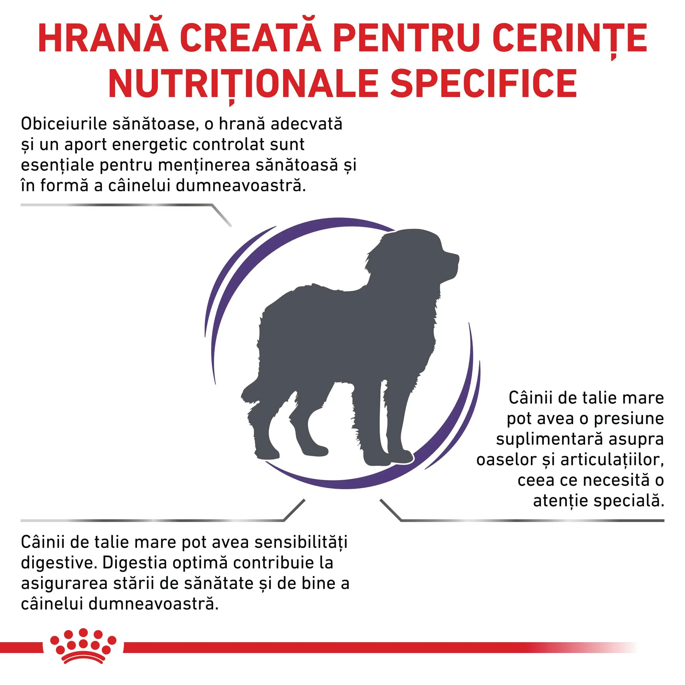 ROYAL CANIN VD Adult Large Dog, L-XL, dieta veterinara, hrana uscata caini, 13kg - Image 3