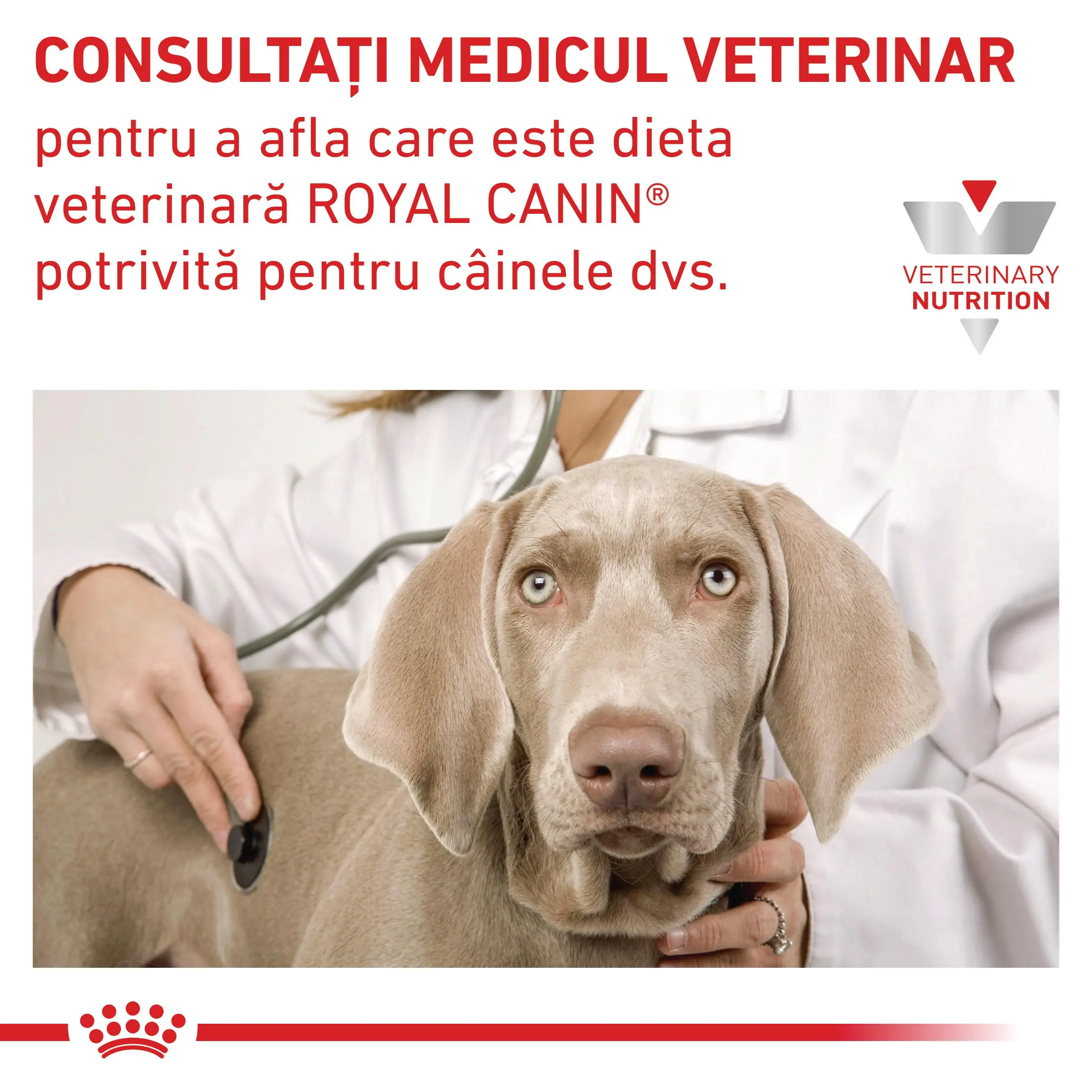 ROYAL CANIN VD Anallergenic Small Dog, XS-S, dieta veterinara, hrana uscata caini, alergii alimentare, 3kg - Image 8