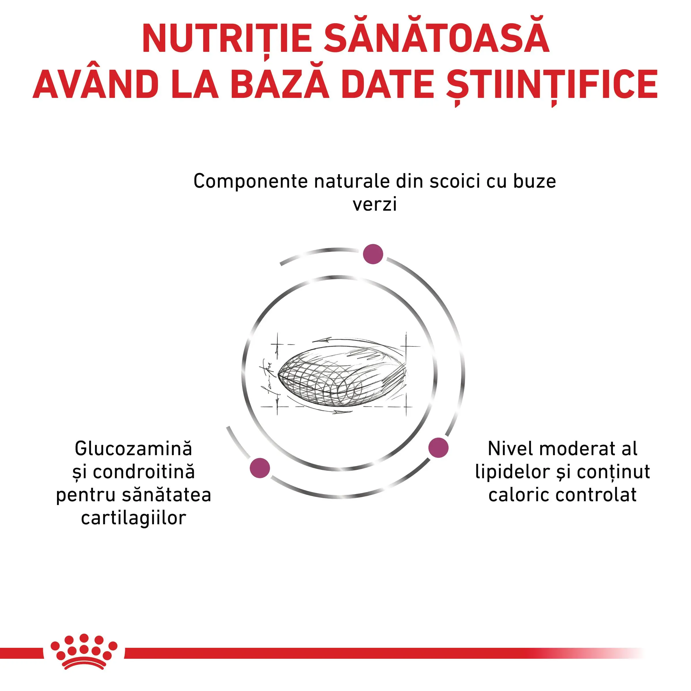ROYAL CANIN VD Mobility Support, XS-XL, dieta veterinara, hrana uscata caini, sistem articular, 12kg - Image 7