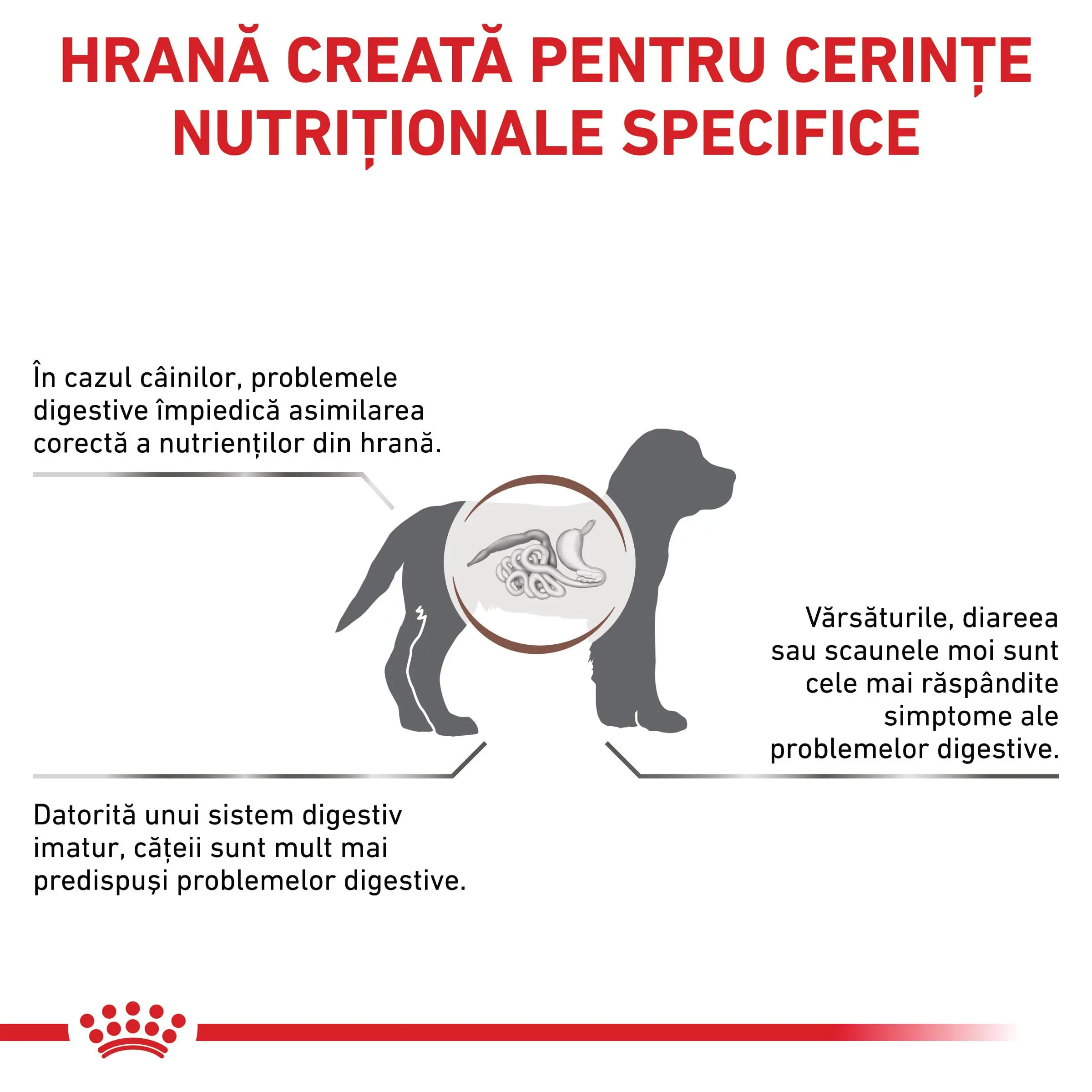 ROYAL CANIN VD Gastrointestinal Puppy, XS-XL, dieta veterinara, hrana uscata caini junior, sistem digestiv, 1kg - Image 3