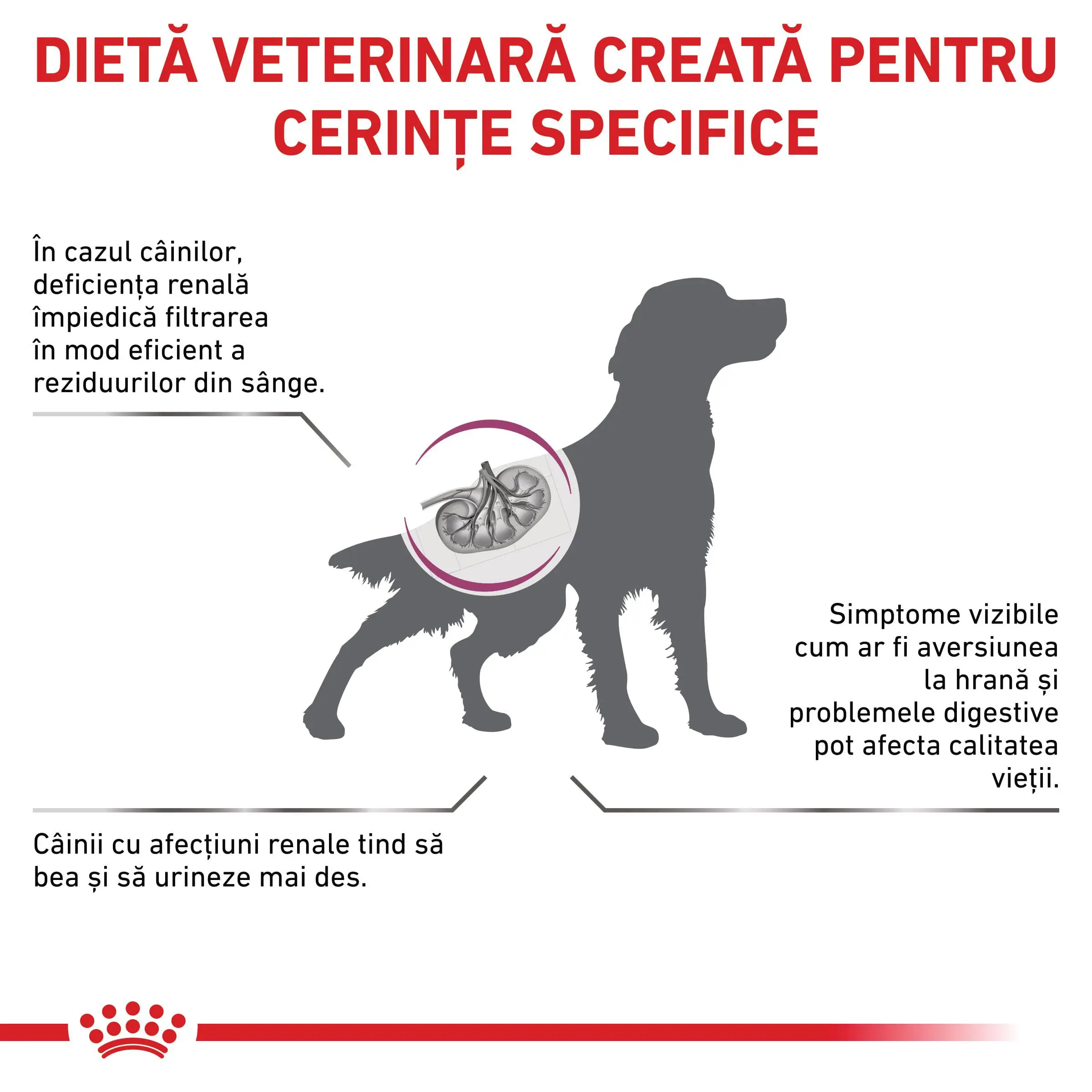ROYAL CANIN VD Renal, XS-XL, dieta veterinara, hrana uscata caini, sistem renal, 7kg - Image 3