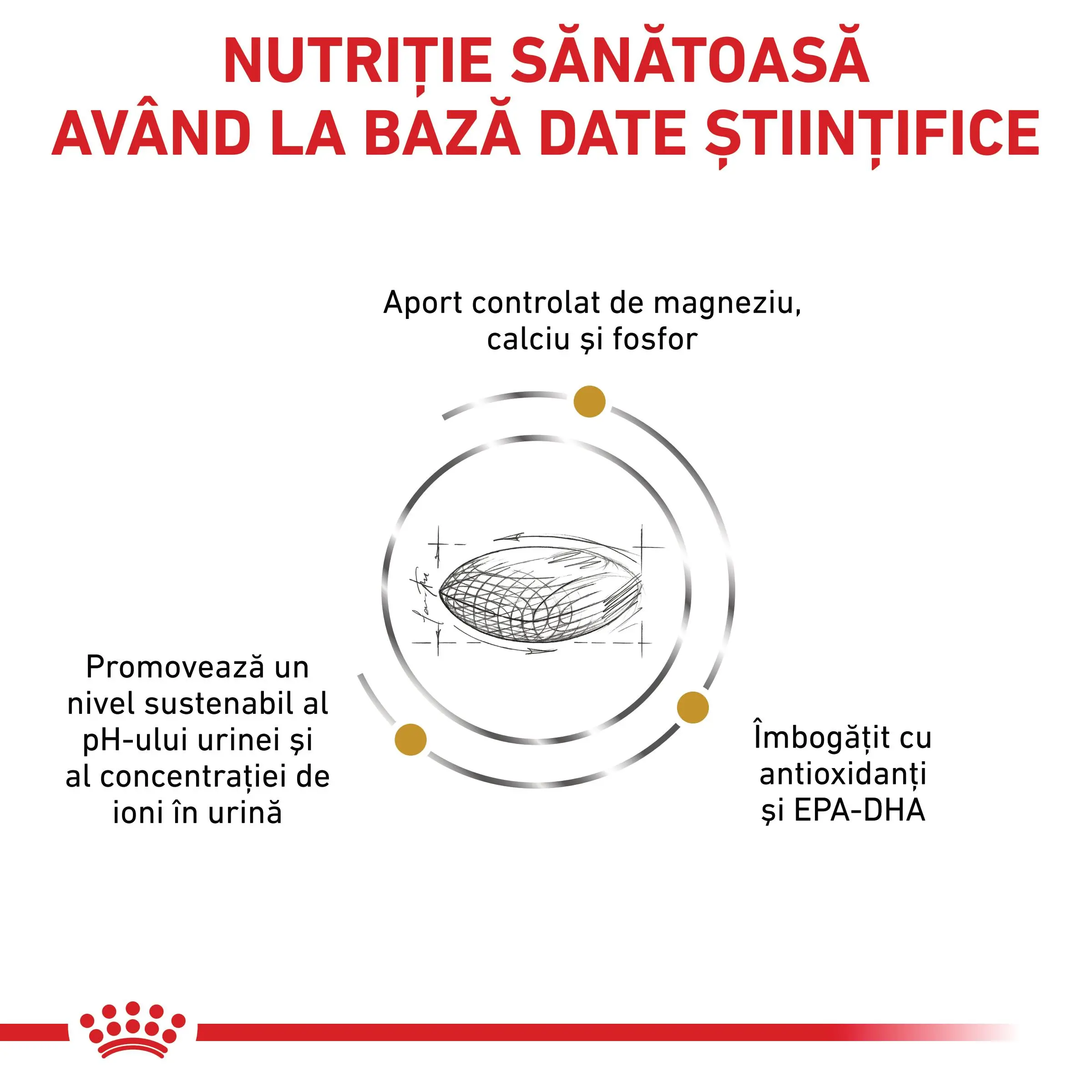 ROYAL CANIN VD Urinary S/O, M-XL, dieta veterinara, hrana uscata caini, sistem urinar, 13kg - Image 7