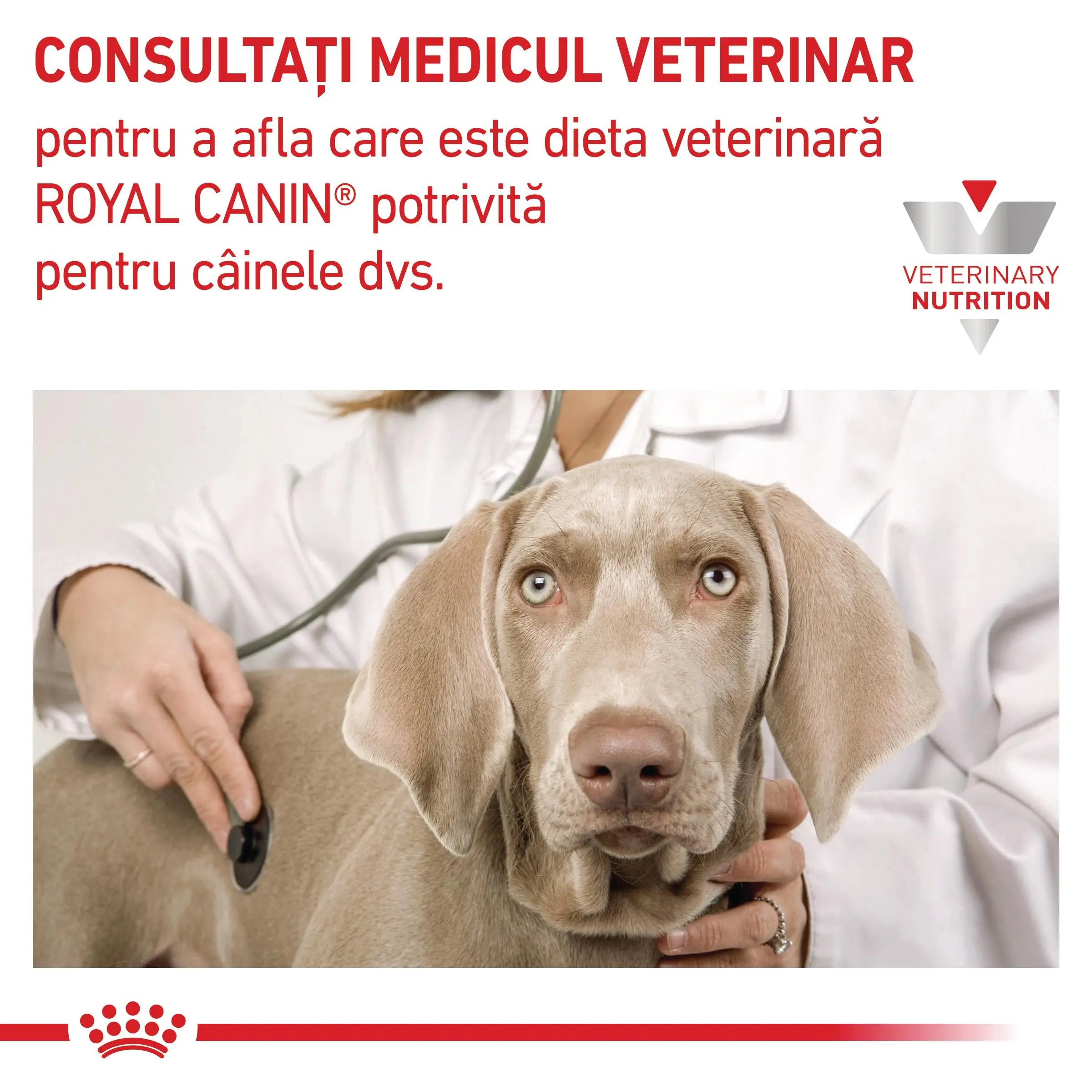 ROYAL CANIN VD Mobility Support, XS-XL, dieta veterinara, hrana uscata caini, sistem articular, 12kg - Image 8