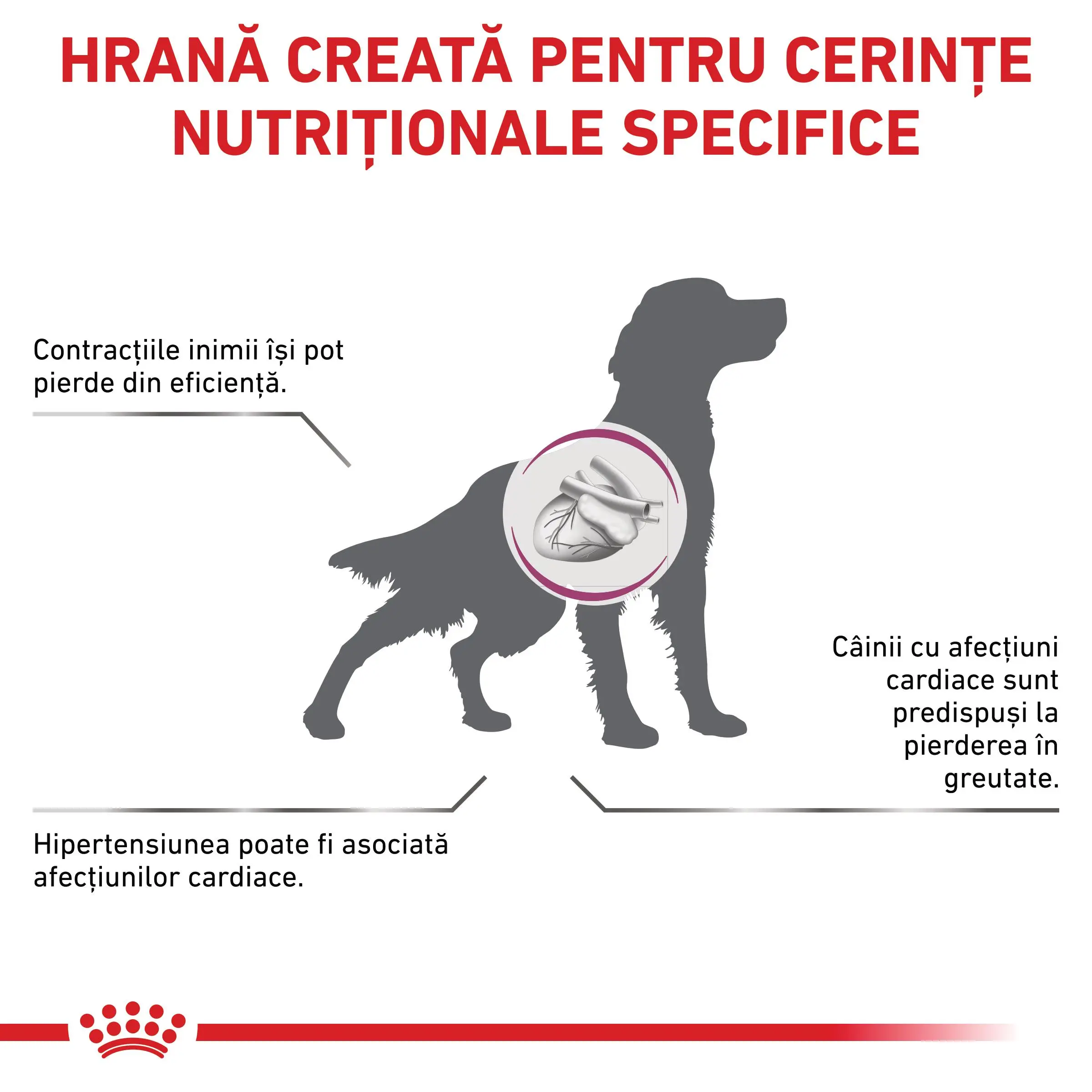 ROYAL CANIN VD Cardiac, XS-XL, dieta veterinara, hrana uscata caini, sistem cardio-vascular, 14kg - Image 3