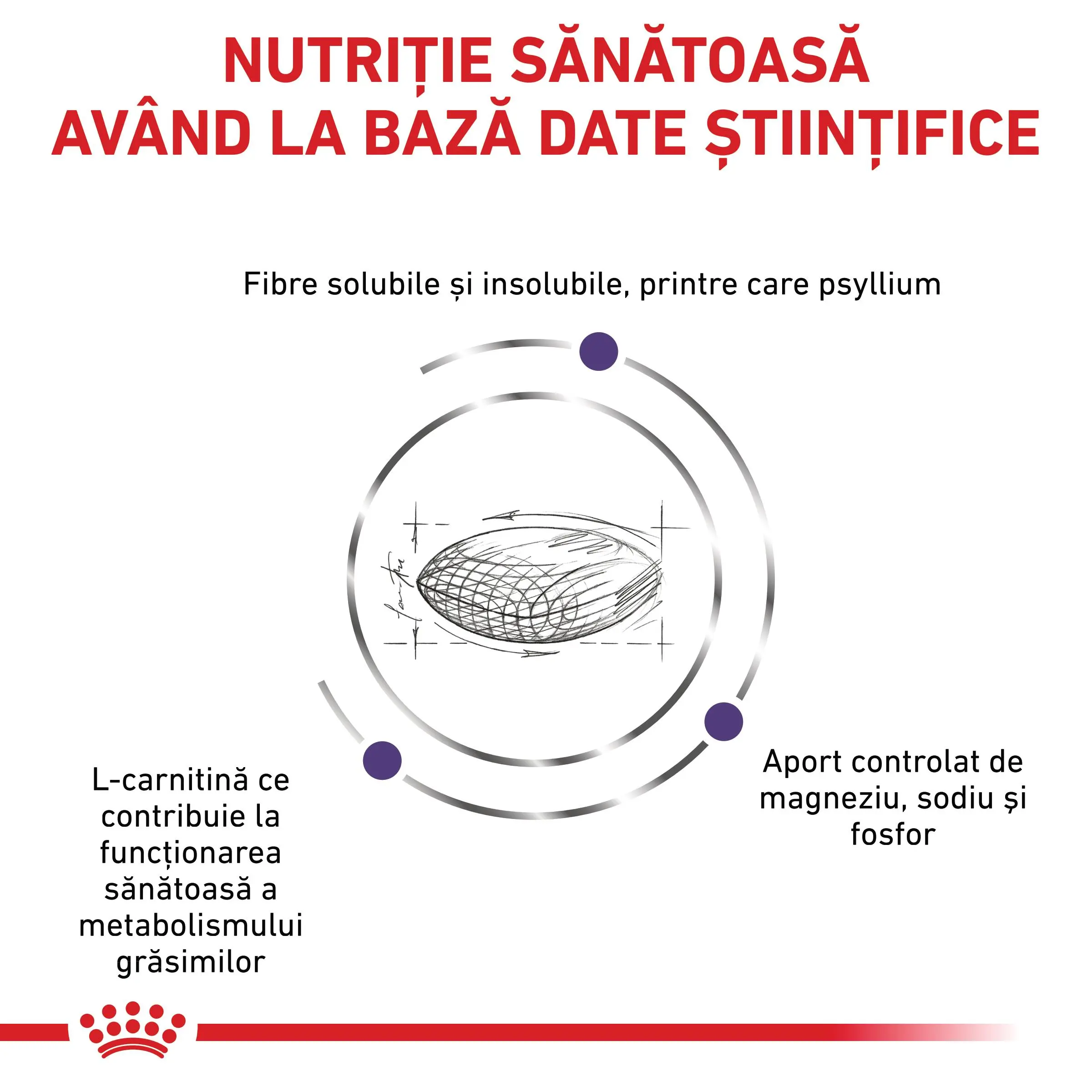 ROYAL CANIN VD Neutered Satiety Balance, dieta veterinara, hrana uscata pisici, managementul greutatii, 400g - Image 7