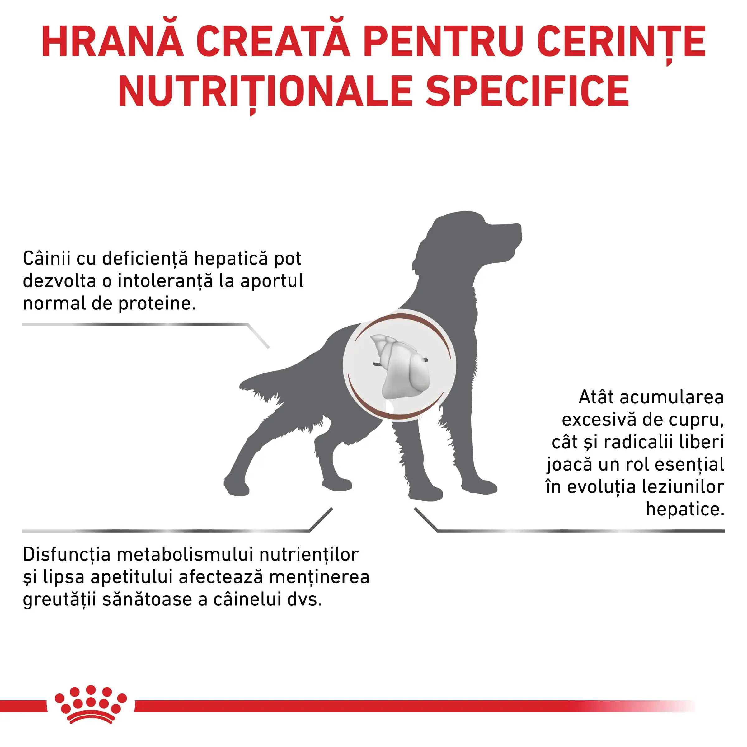 ROYAL CANIN VD Hepatic, XS-XL, dieta veterinara, hrana uscata caini, suport hepatic, 12kg - Image 3