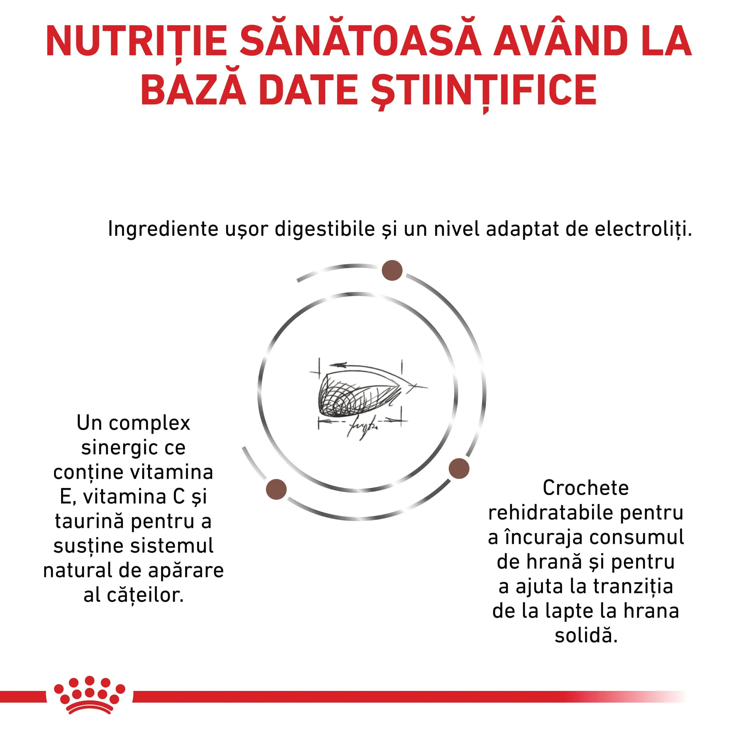 ROYAL CANIN VD Gastrointestinal Puppy, XS-XL, dieta veterinara, hrana uscata caini junior, sistem digestiv, 1kg - Image 7