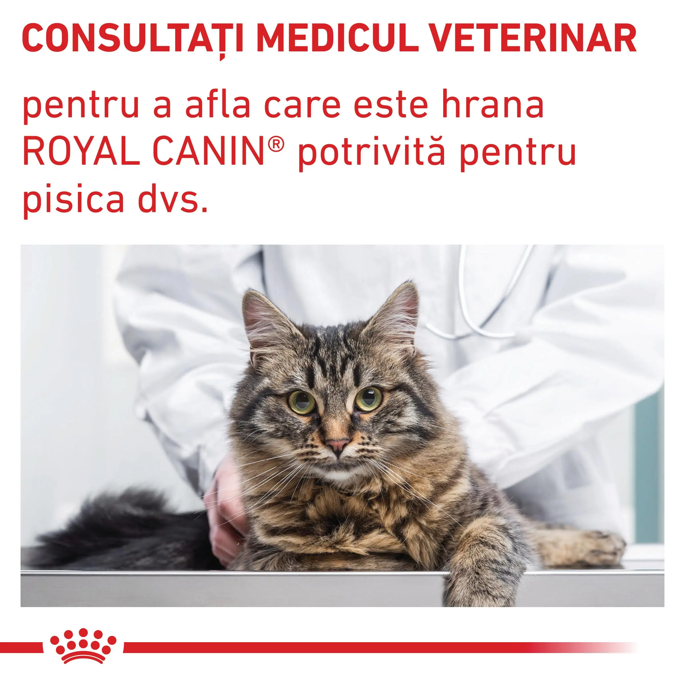 ROYAL CANIN VD Neutered Satiety Balance, dieta veterinara, hrana uscata pisici, managementul greutatii, 400g - Image 8