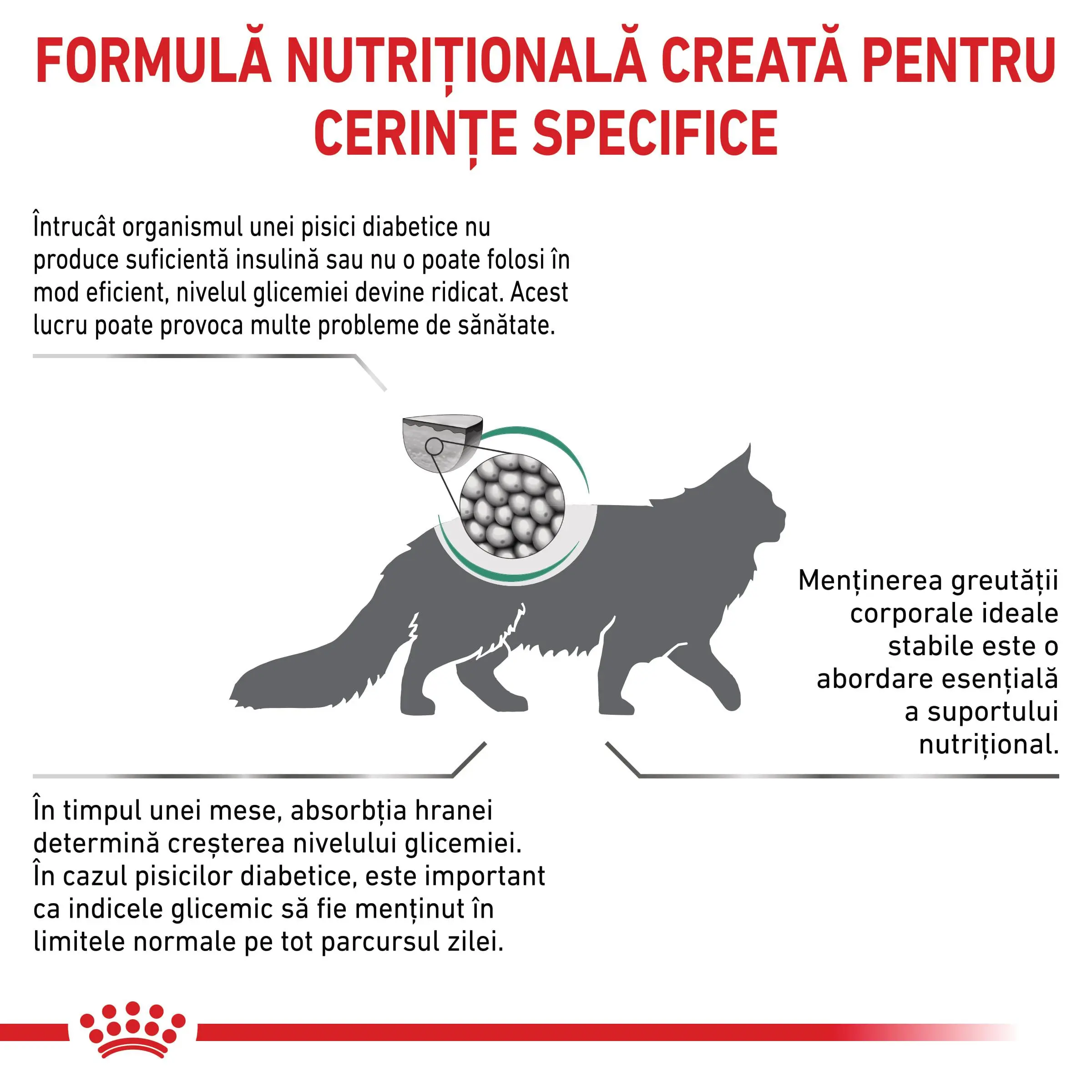 ROYAL CANIN VD Diabetic, dieta veterinara, hrana uscata pisici, diabet, 3.5kg - Image 3