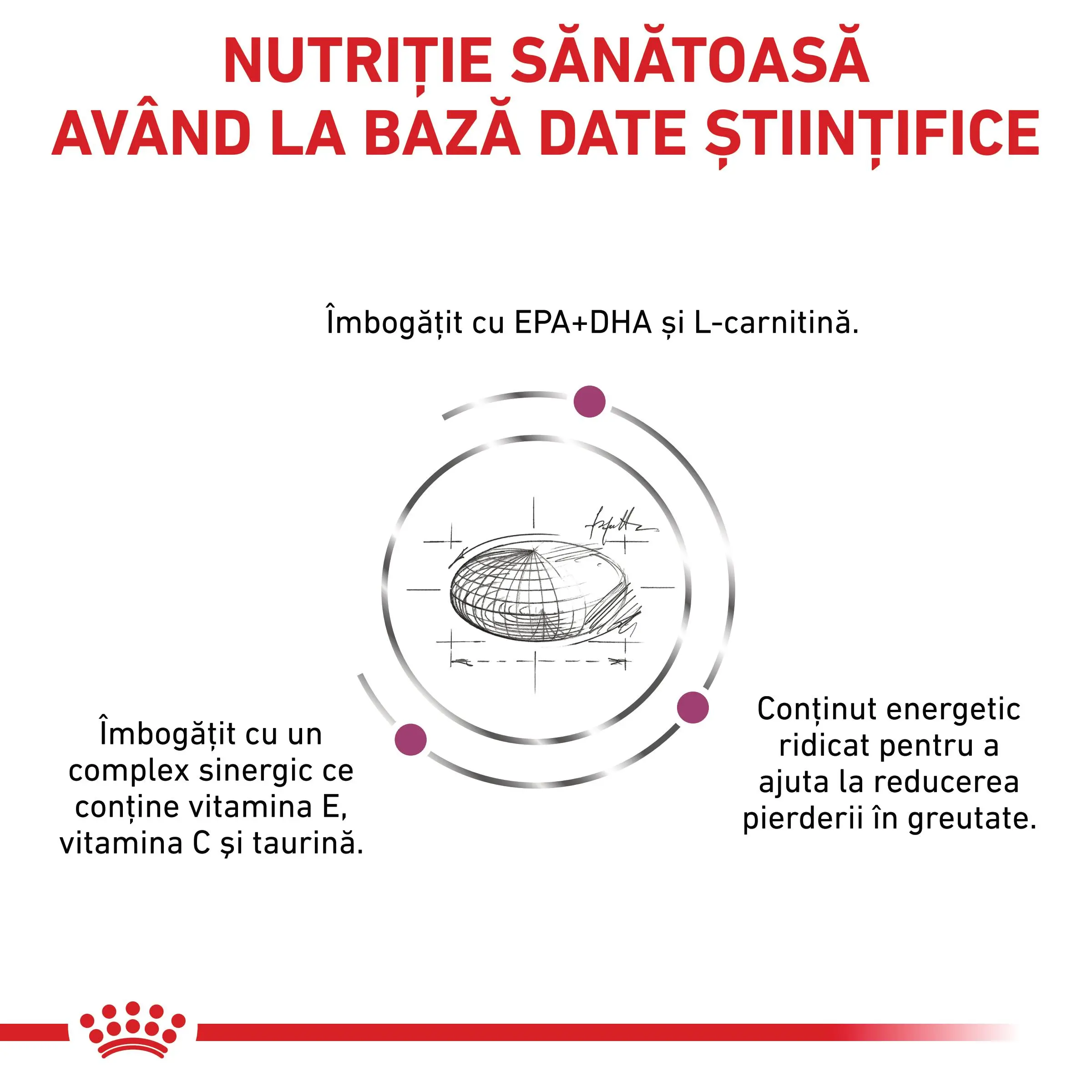 ROYAL CANIN VD Cardiac, XS-XL, dieta veterinara, hrana uscata caini, sistem cardio-vascular, 14kg - Image 7