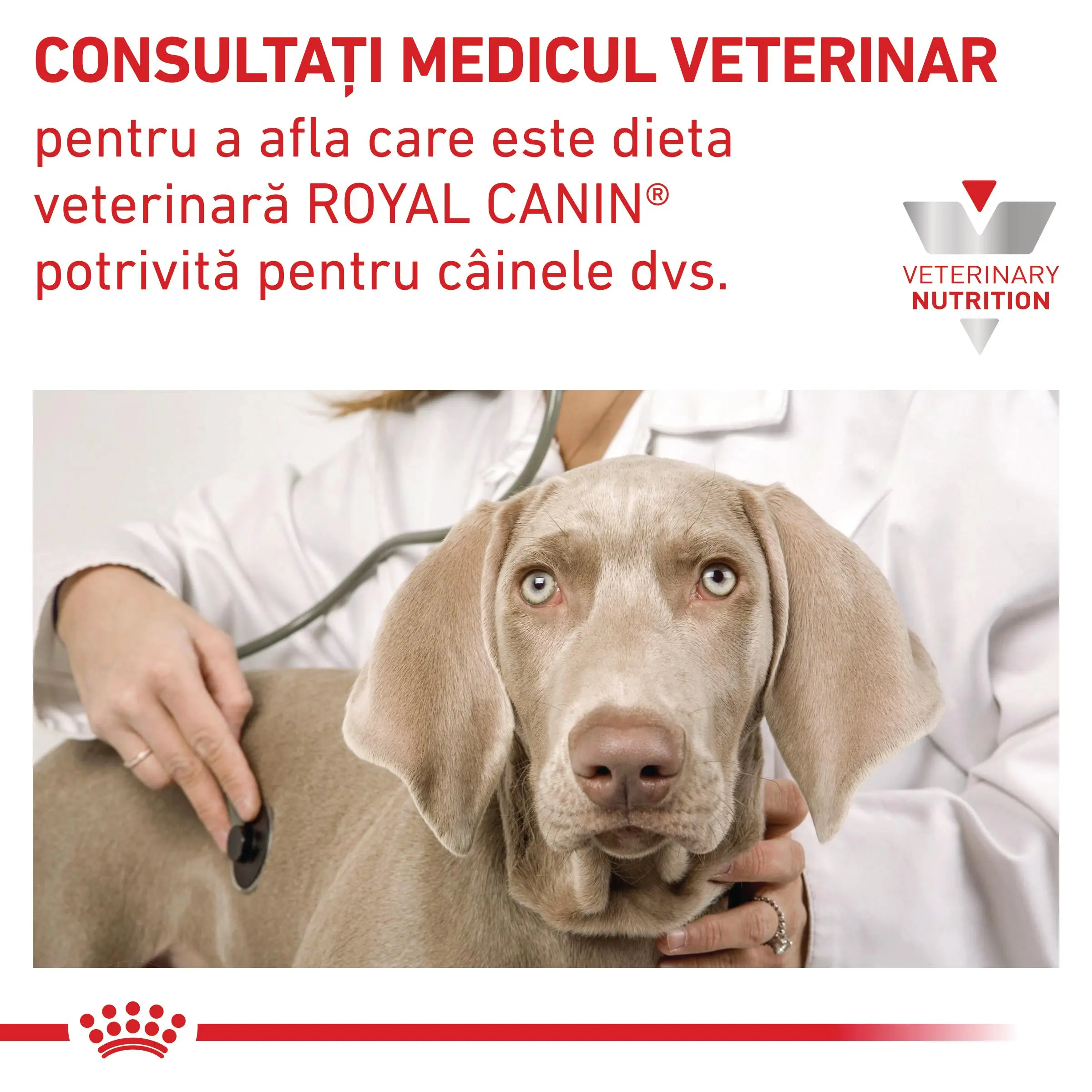 ROYAL CANIN VD Cardiac, XS-XL, dieta veterinara, hrana uscata caini, sistem cardio-vascular, 14kg - Image 8