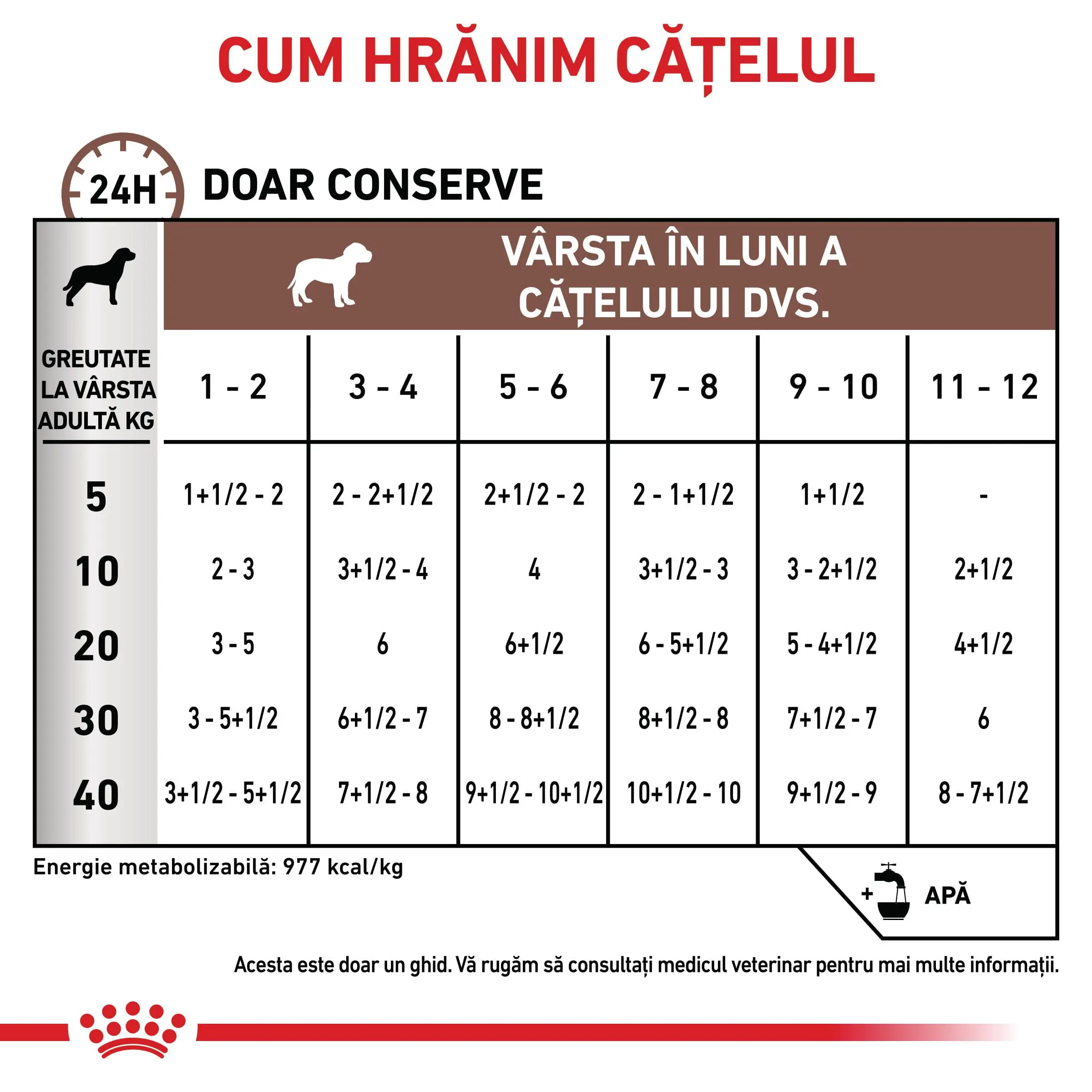ROYAL CANIN VD Gastrointestinal Puppy, XS-XL, dieta veterinara, conserva hrana umeda caini junior, sistem digestiv, (mousse), 195g - Image 5