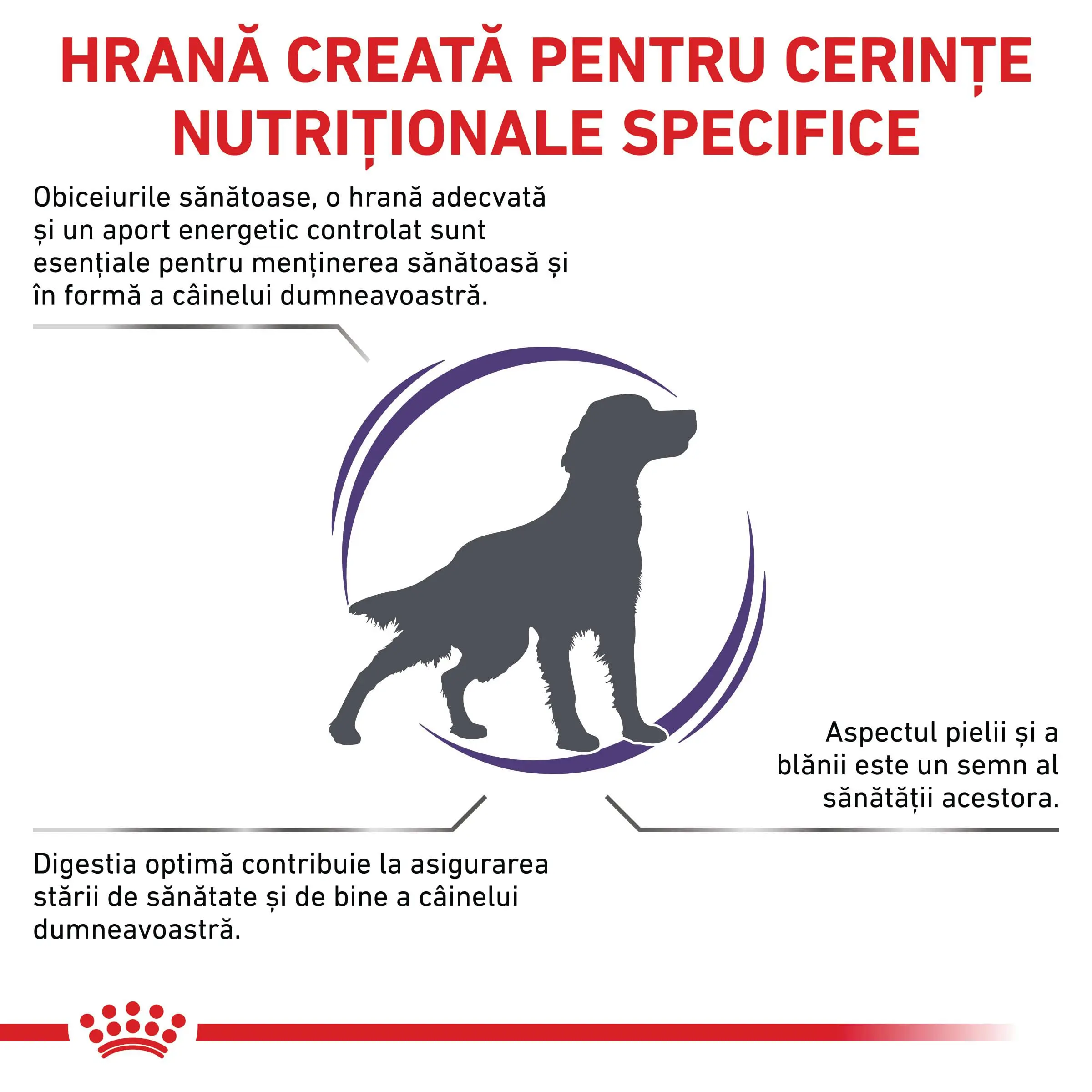 ROYAL CANIN VD Adult Medium Dog, M, dieta veterinara, hrana uscata caini, 10kg - Image 3