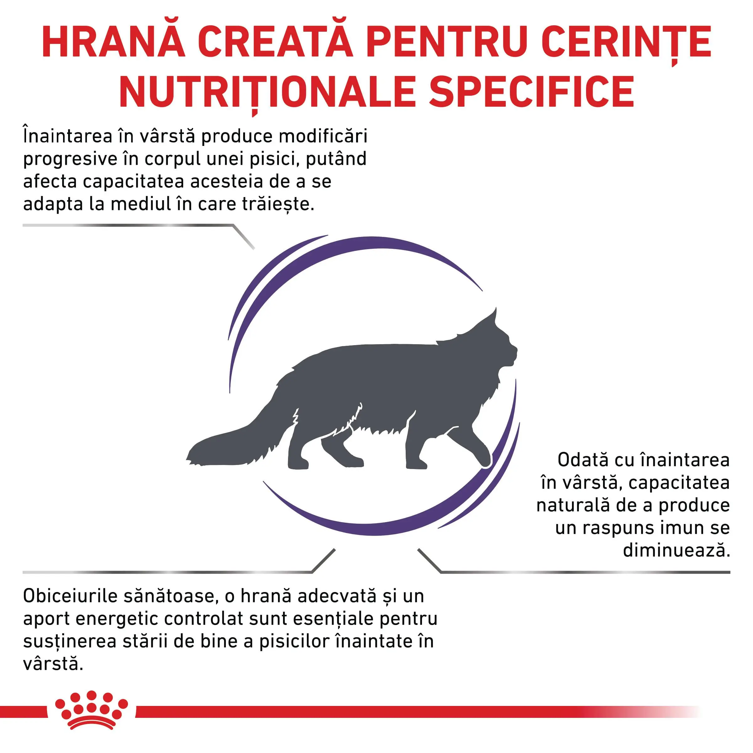 ROYAL CANIN VD Mature Consult, dieta veterinara, hrana uscata pisici senior, 3.5kg - Image 3
