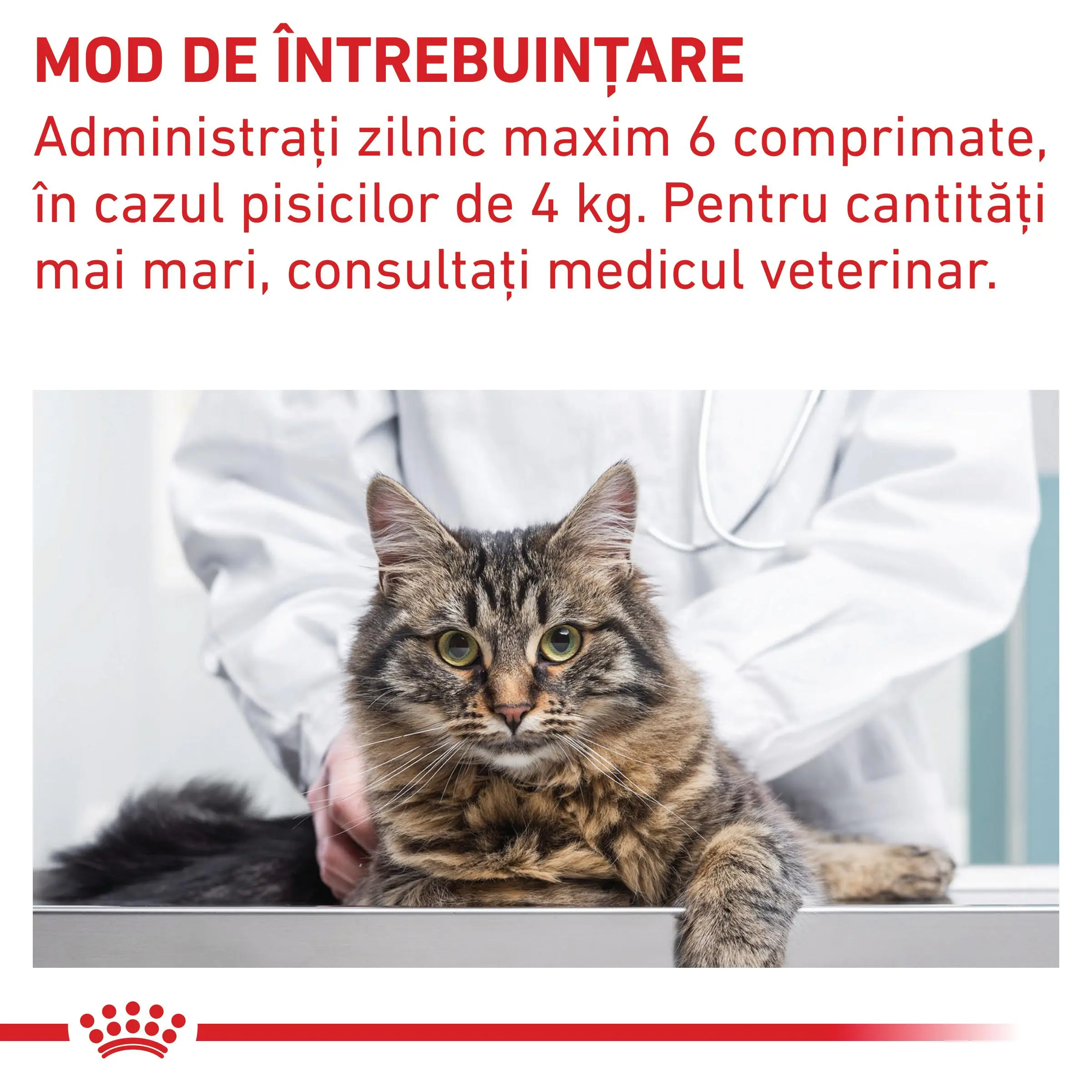ROYAL CANIN VD Pill Assist Cat, dieta veterinara pisici, 45g - Image 5