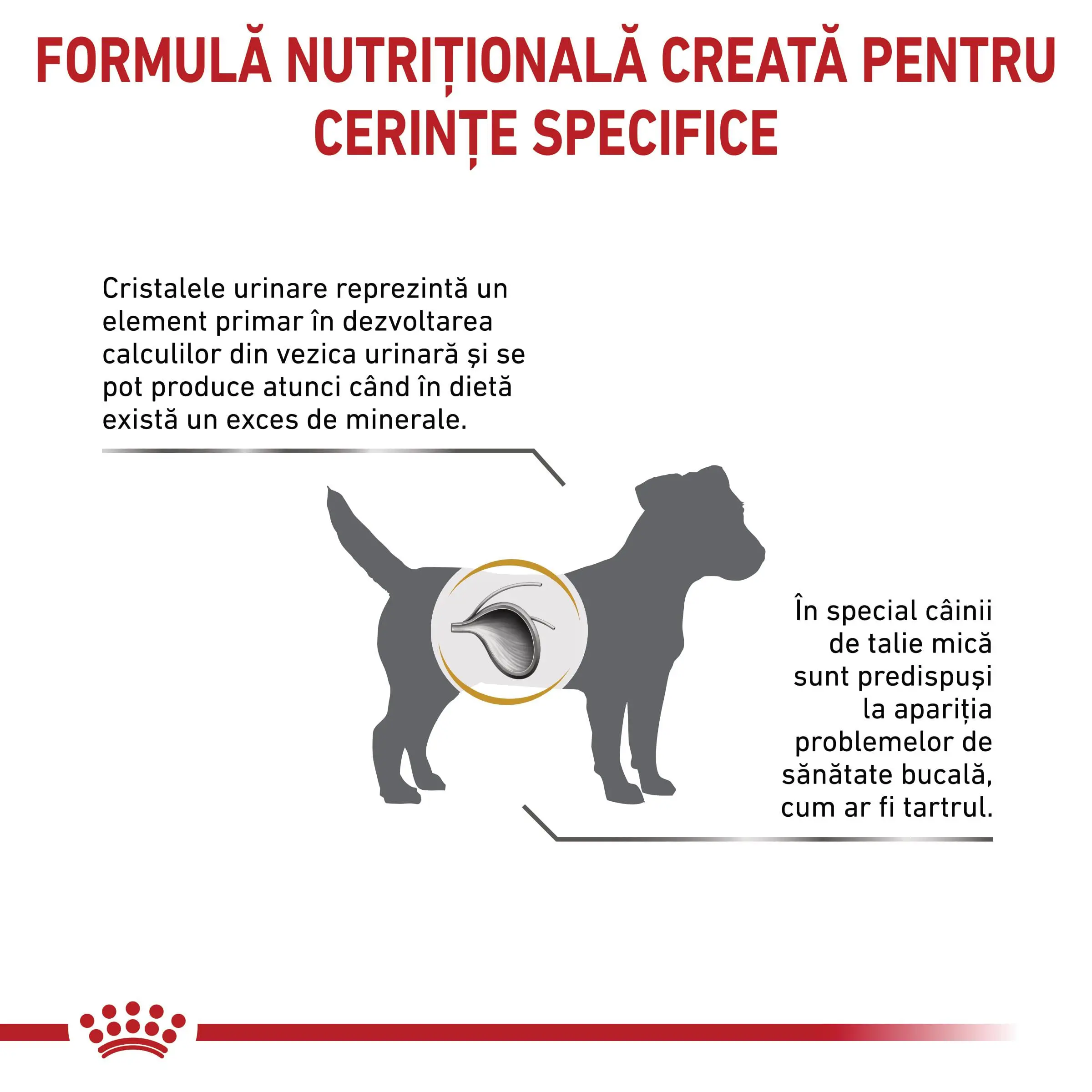 ROYAL CANIN VD Urinary S/O Small Dog, XS-S, dieta veterinara, hrana uscata caini, sistem urinar, 8kg - Image 3