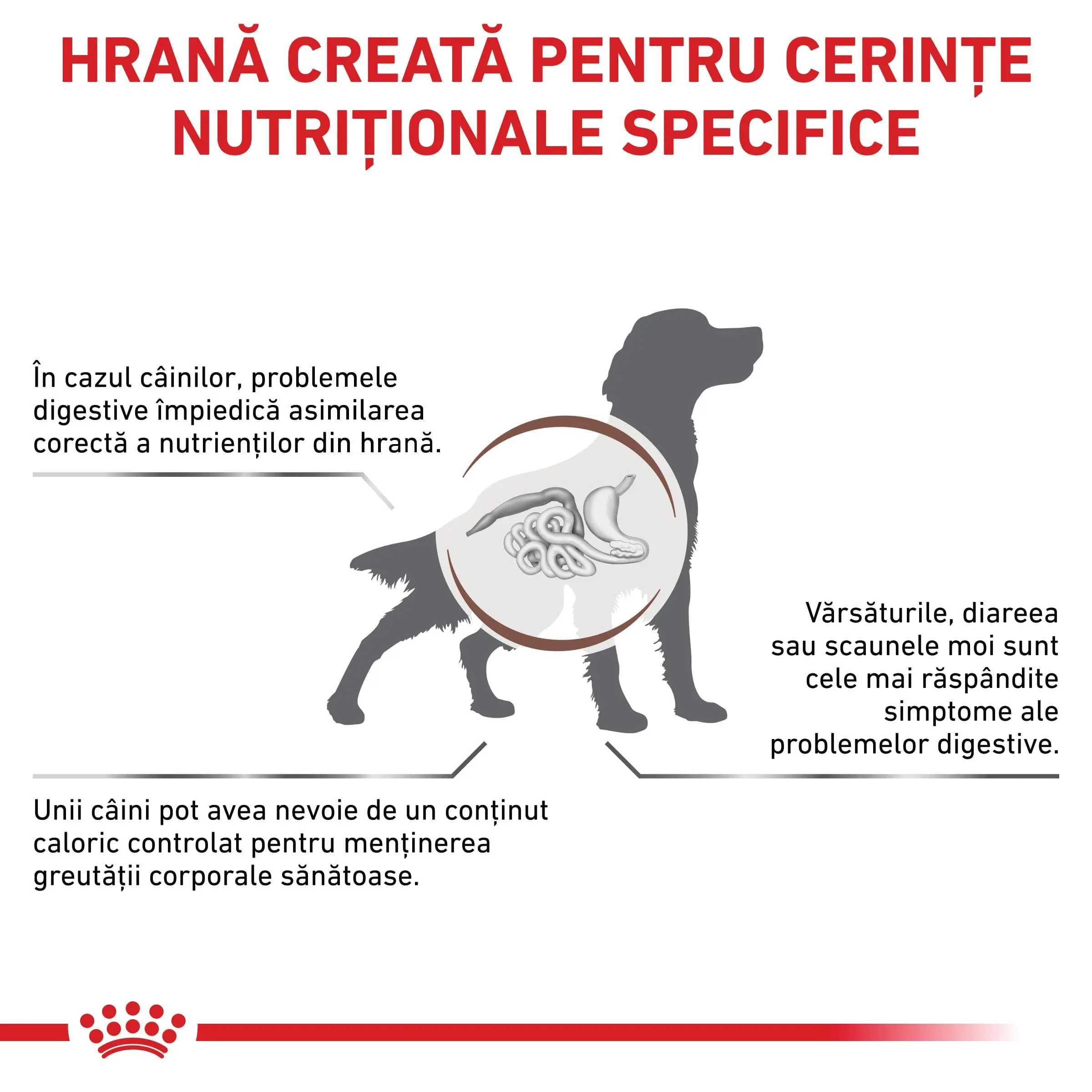 ROYAL CANIN VD Gastrointestinal Moderate Calorie, XS-XL, dieta veterinara, hrana uscata caini, sistem digestiv, 2kg - Image 3