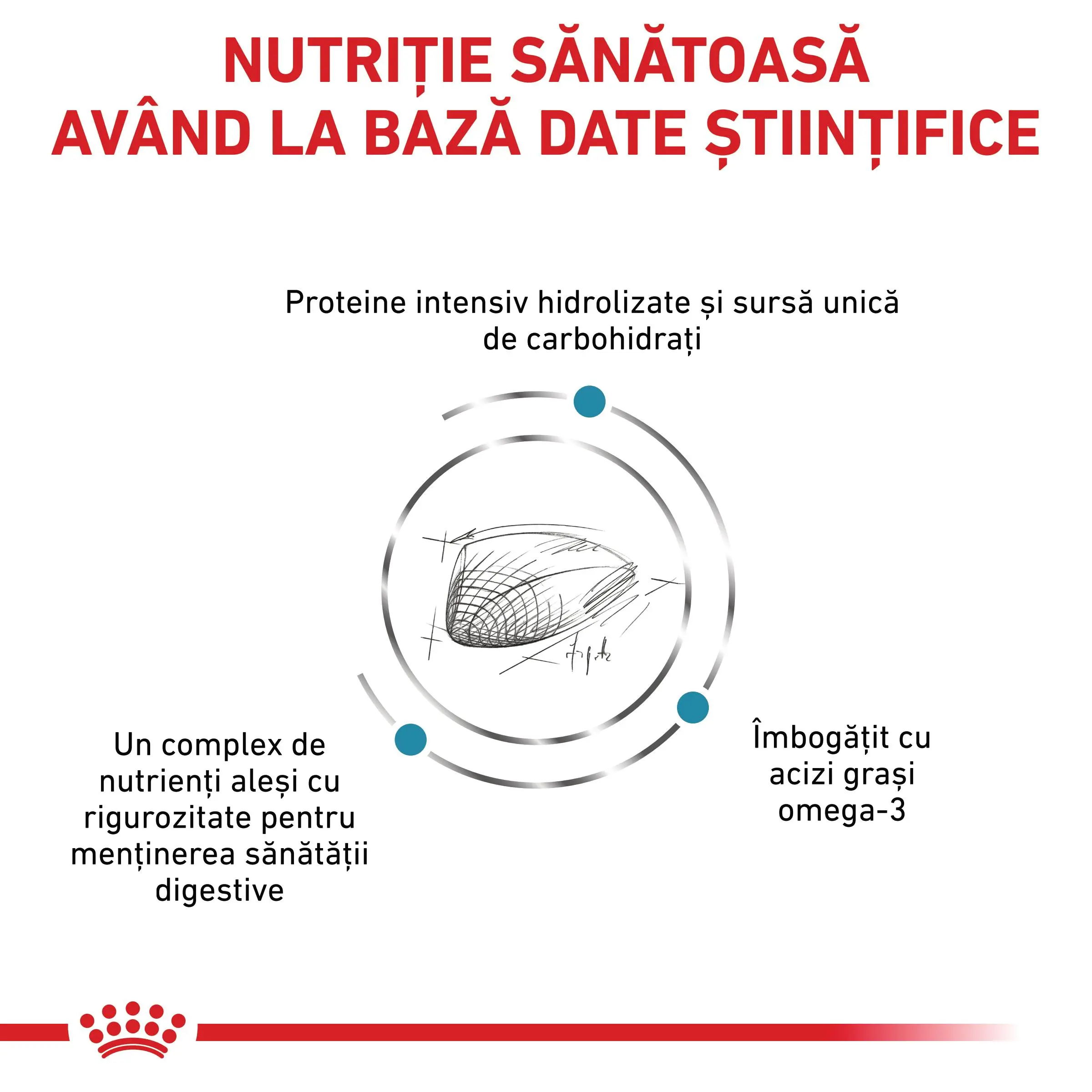ROYAL CANIN VD Hypoallergenic, dieta veterinara, hrana uscata pisici, alergii, 4.5kg - Image 7