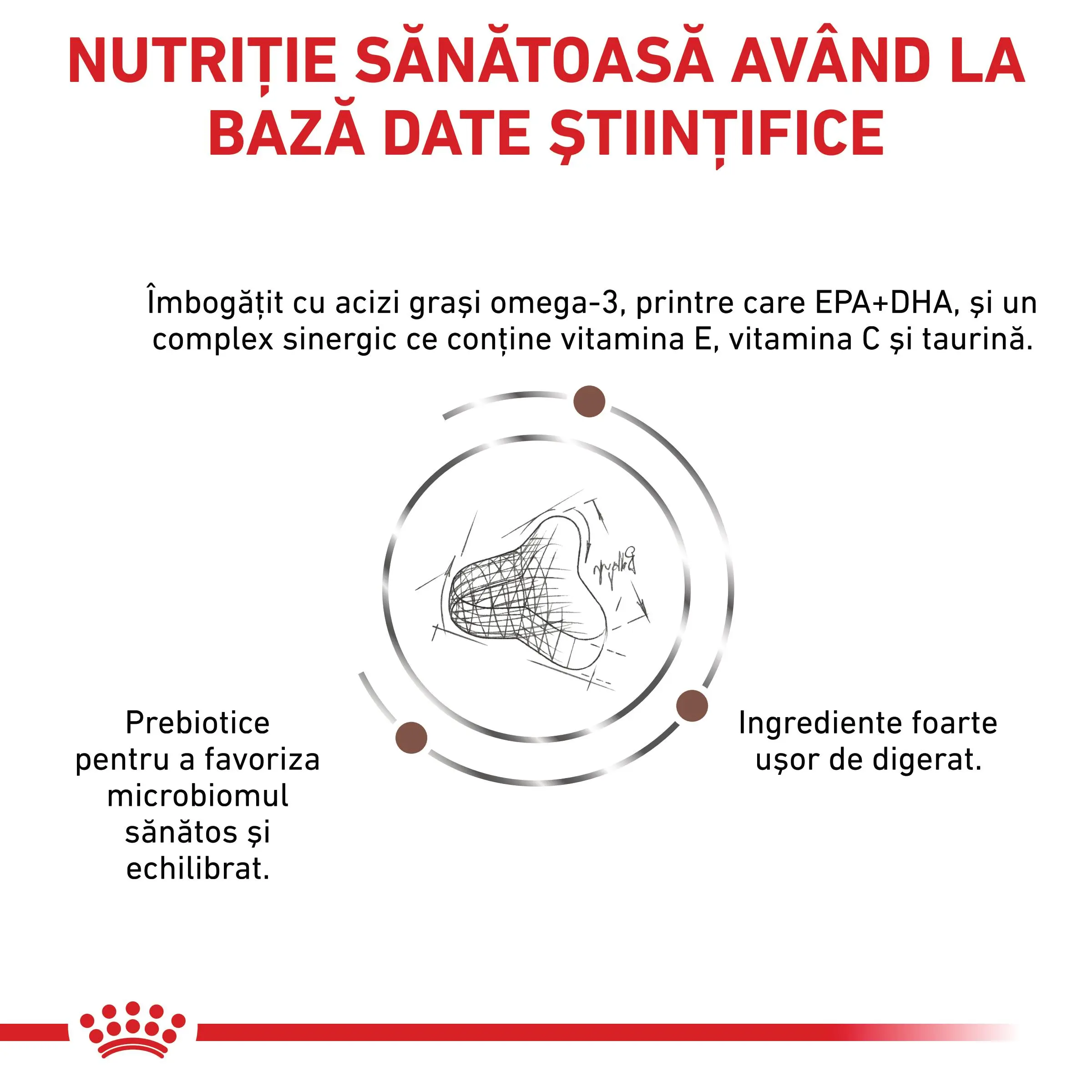 ROYAL CANIN VD Gastrointestinal Fibre Response, dieta veterinara, hrana uscata pisici, sistem digestiv, 2kg - Image 7