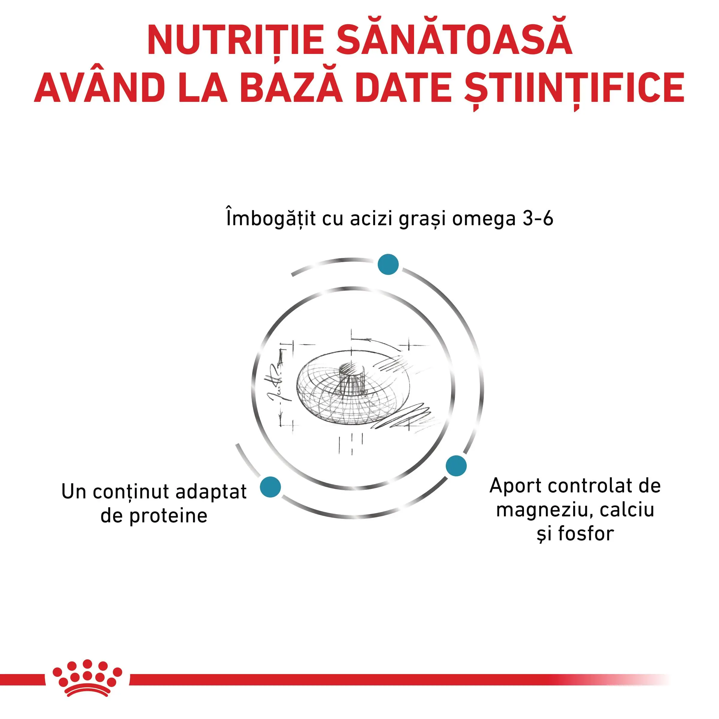 ROYAL CANIN VD Skin&Coat, dieta veterinara, hrana uscata pisici, afectiuni dermatologice, 1.5kg - Image 6