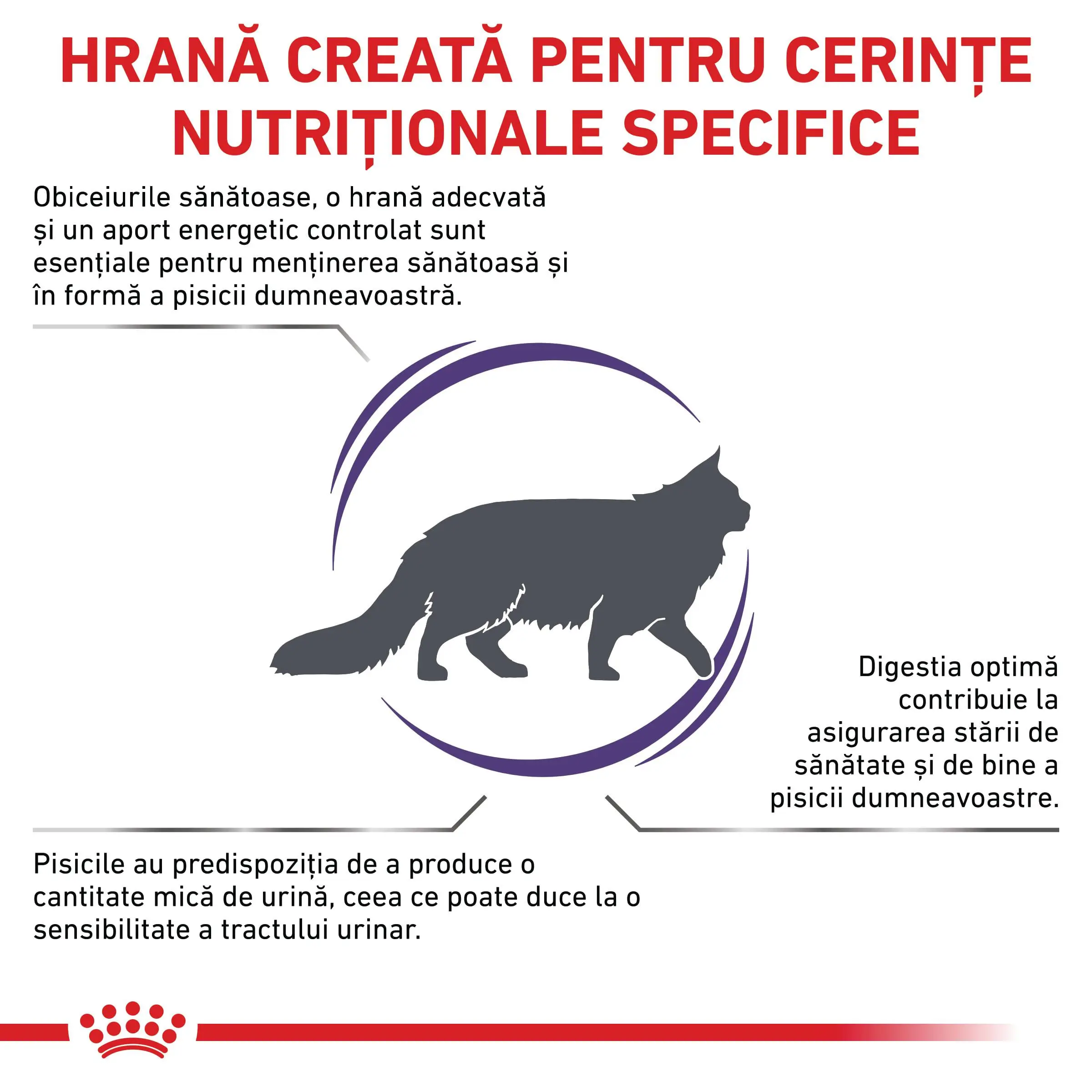 ROYAL CANIN VD Adult Cat, dieta veterinara, hrana uscata pisici, 8kg - Image 3