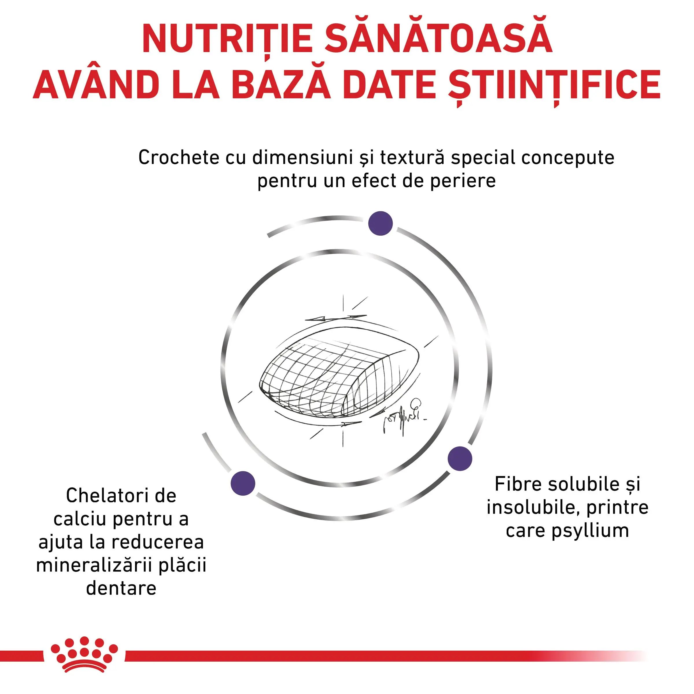 ROYAL CANIN VD Dental, dieta veterinara, hrana uscata pisici, sensibilitati dentare, 1.5kg - Image 7