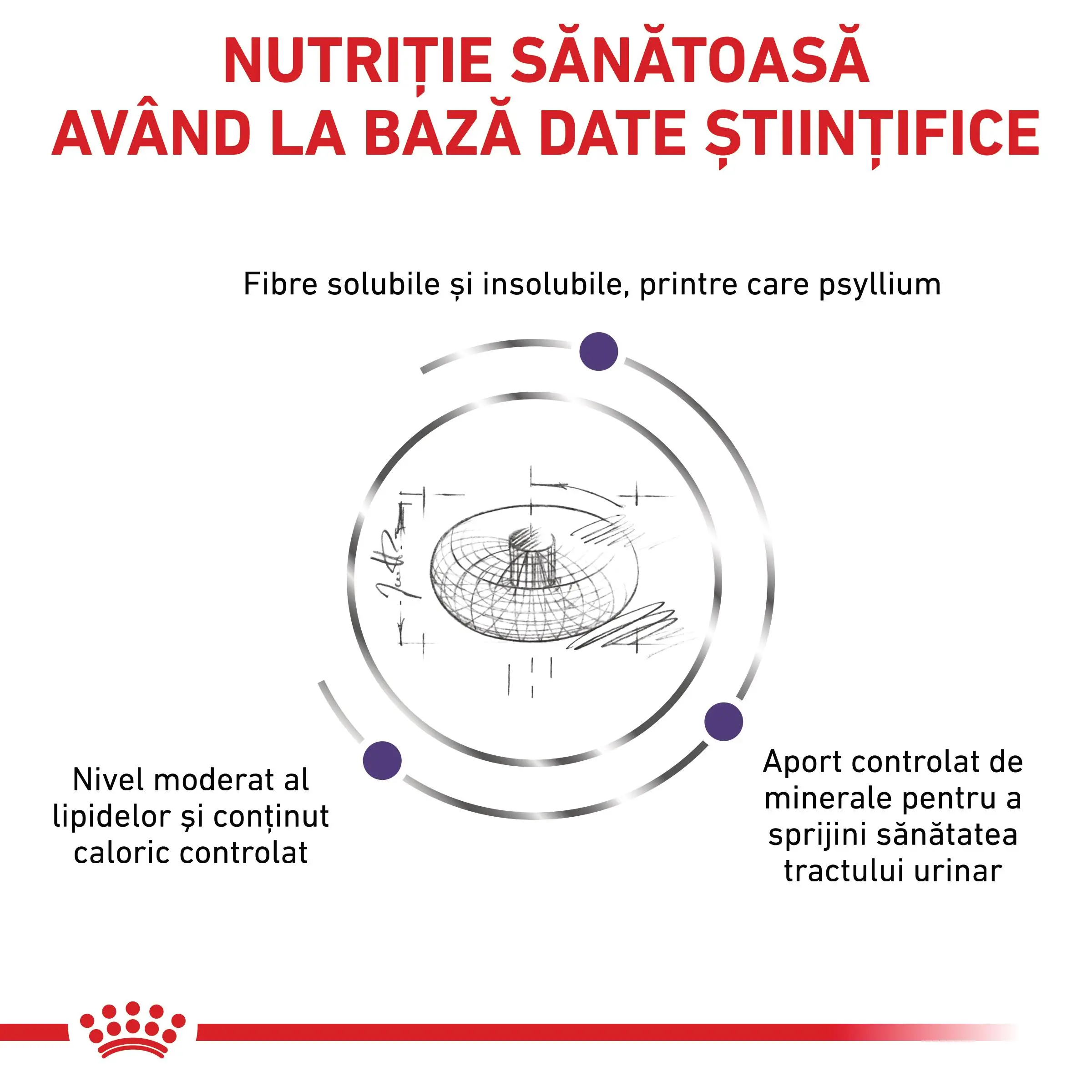 ROYAL CANIN VD Neutered Adult Small Dog, XS-S, dieta veterinara, hrana uscata caini, 1.5kg - Image 7