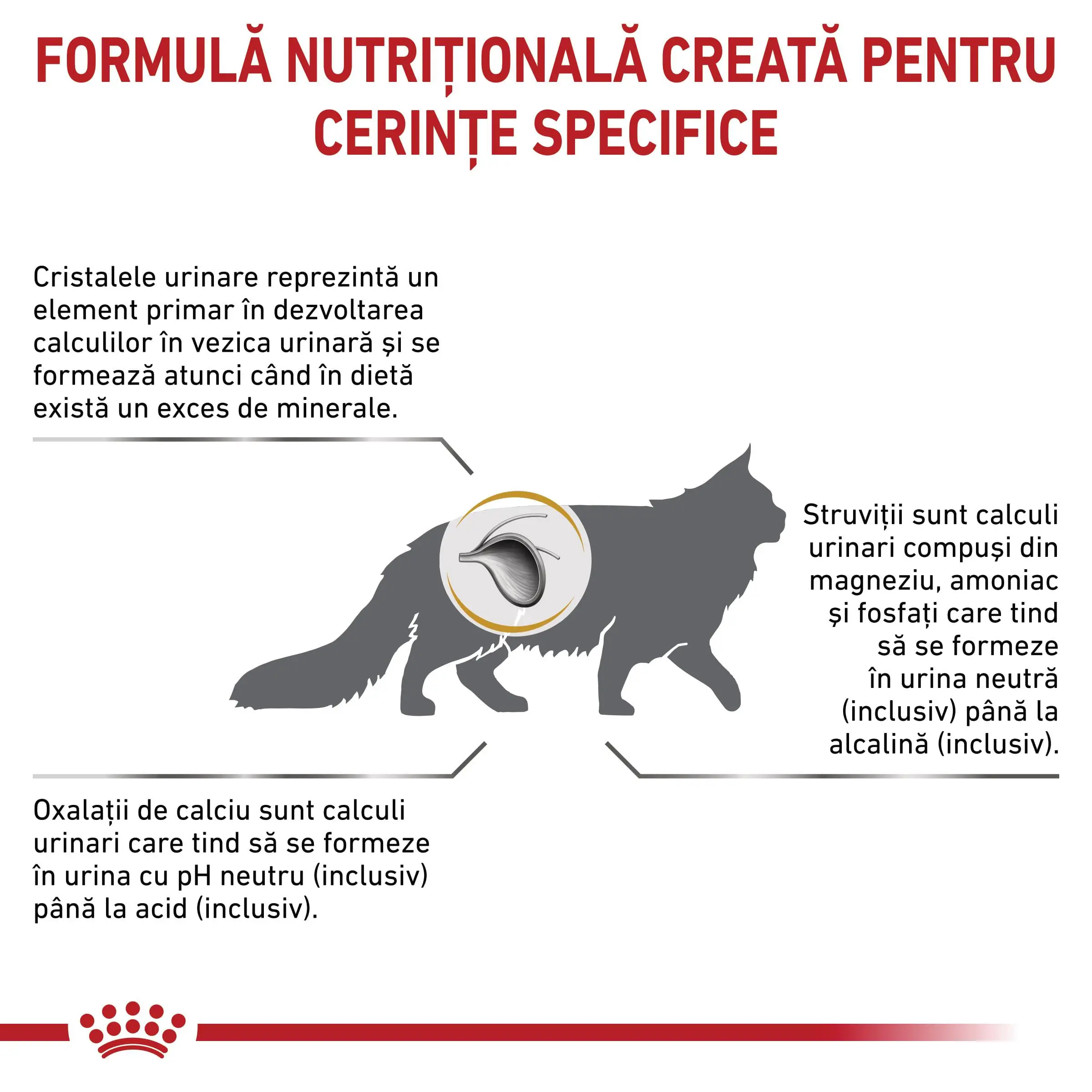 ROYAL CANIN VD Urinary S/O, dieta veterinara, hrana uscata pisici, sistem urinar, 400g - Image 3