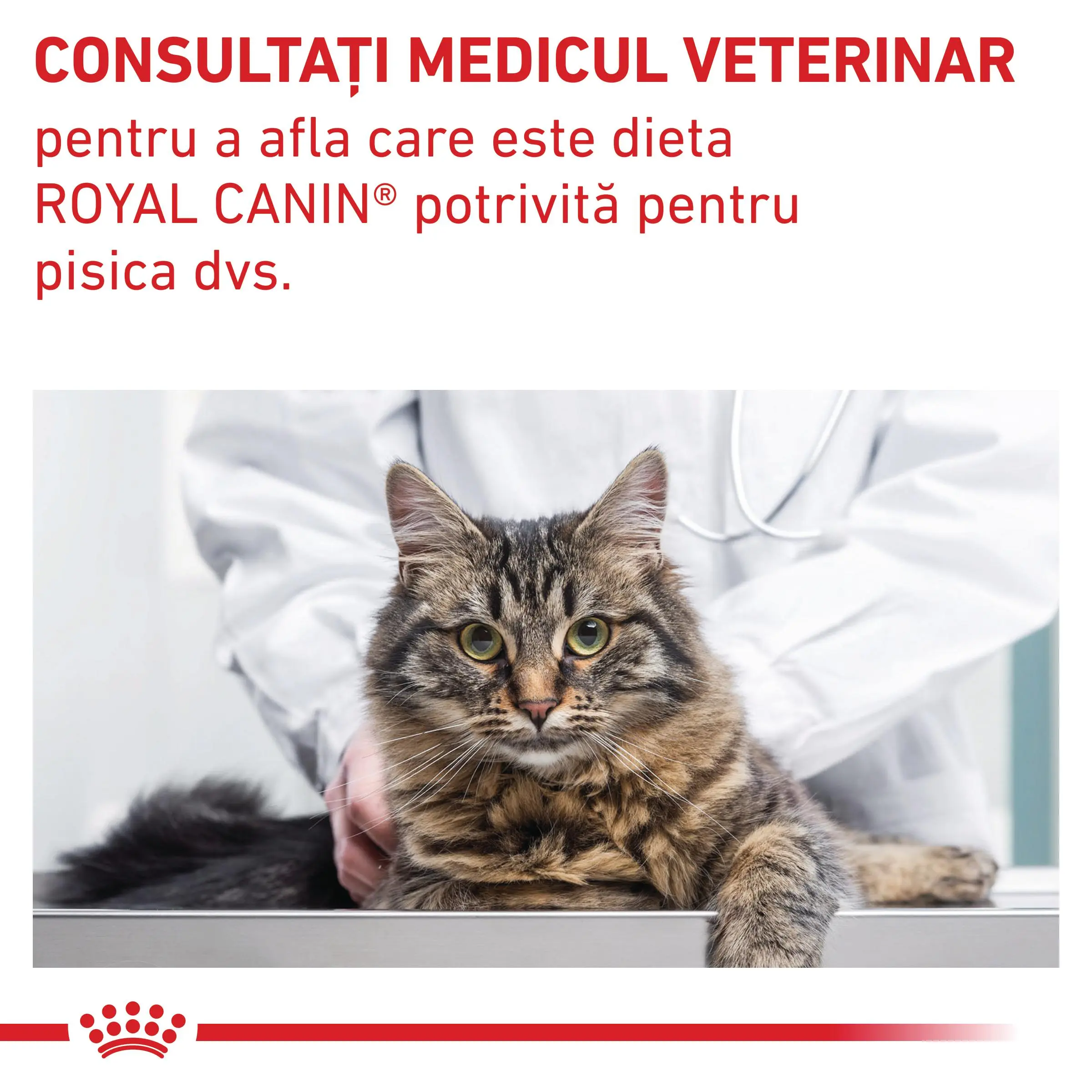 ROYAL CANIN VD Gastrointestinal Fibre Response, dieta veterinara, hrana uscata pisici, sistem digestiv, 2kg - Image 8
