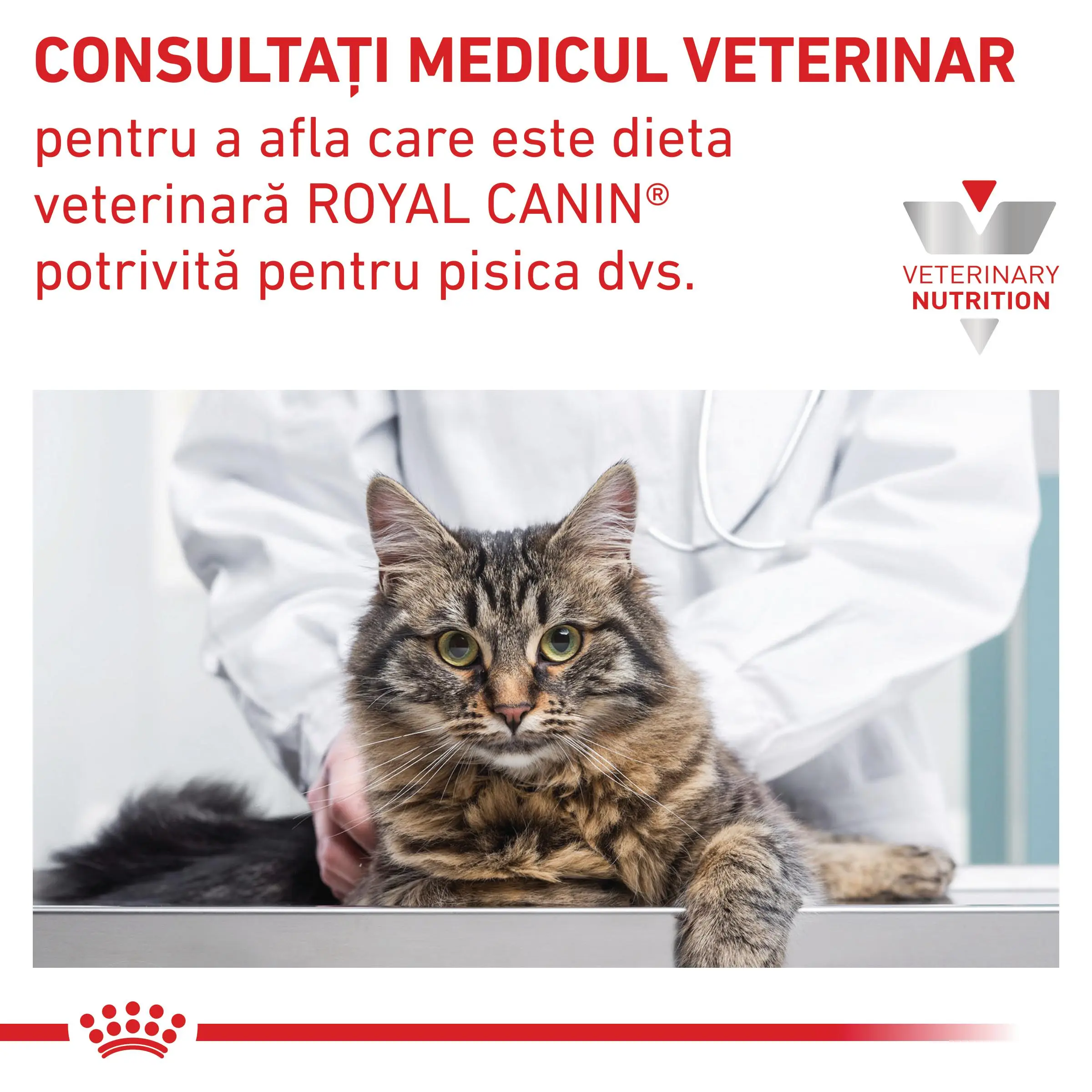 ROYAL CANIN VD Skin&Coat, dieta veterinara, hrana uscata pisici, afectiuni dermatologice, 1.5kg - Image 7