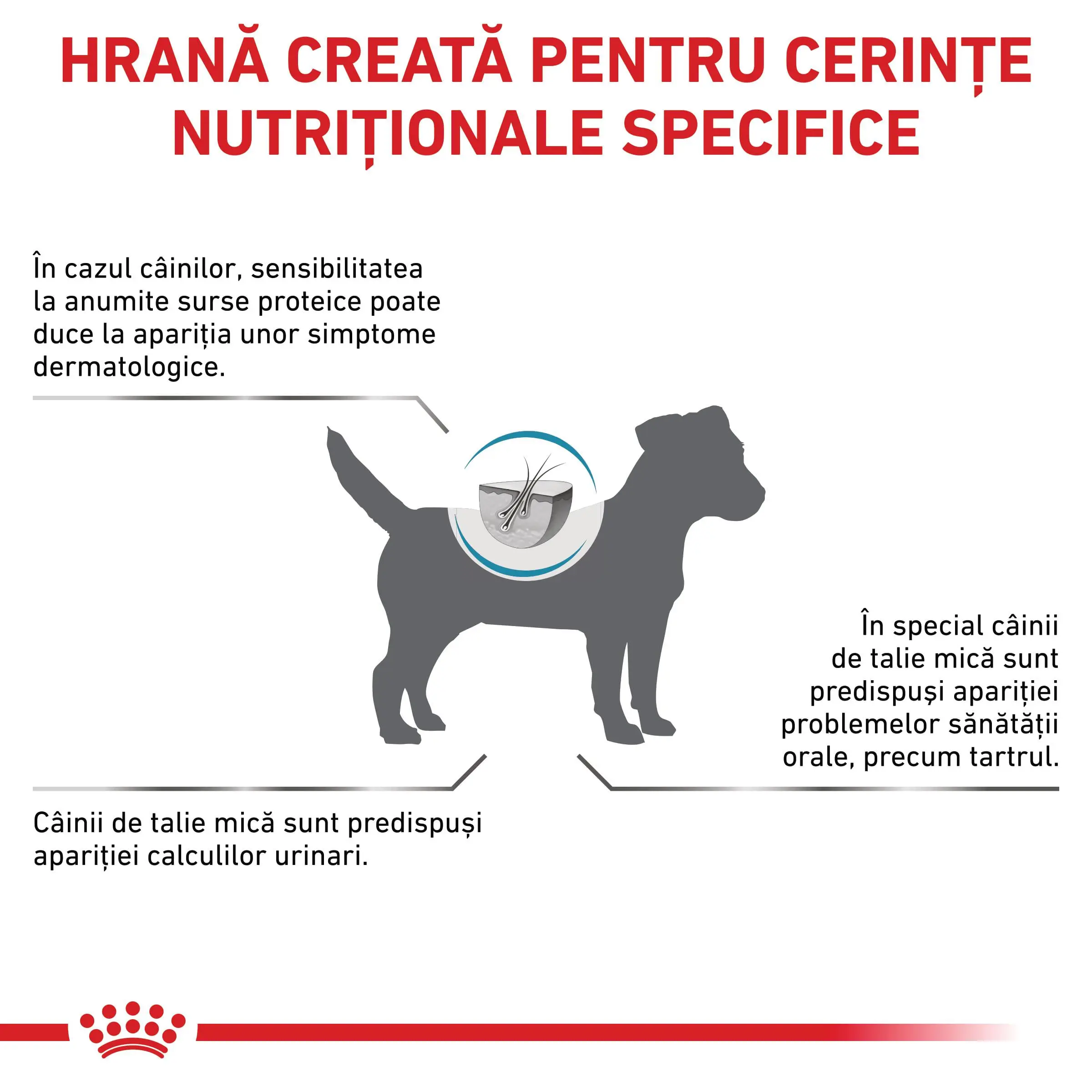 ROYAL CANIN VD Hypoallergenic Small Dog, XS-S, dieta veterinara, hrana uscata caini, alergii alimentare, 1kg - Image 3