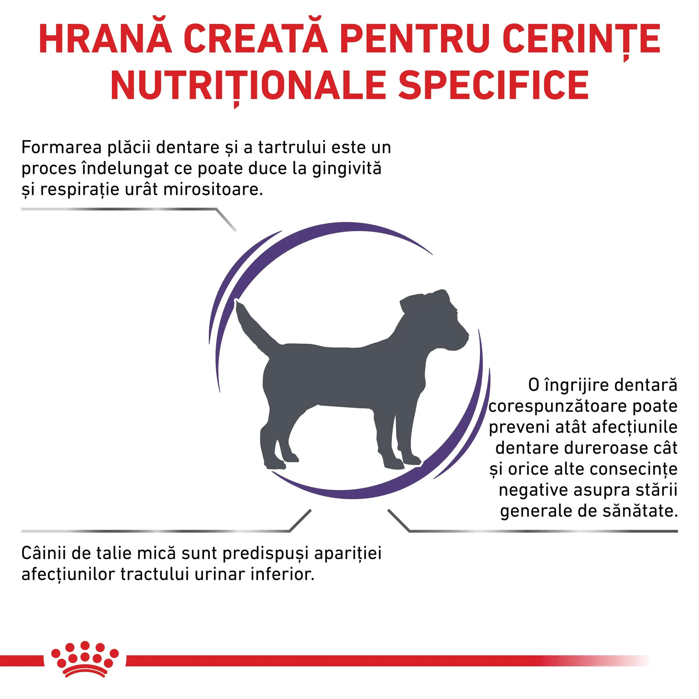 ROYAL CANIN VD Dental Small Dog, XS-S, dieta veterinara, hrana uscata caini, sensibilitati dentare, 1.5kg - Image 3