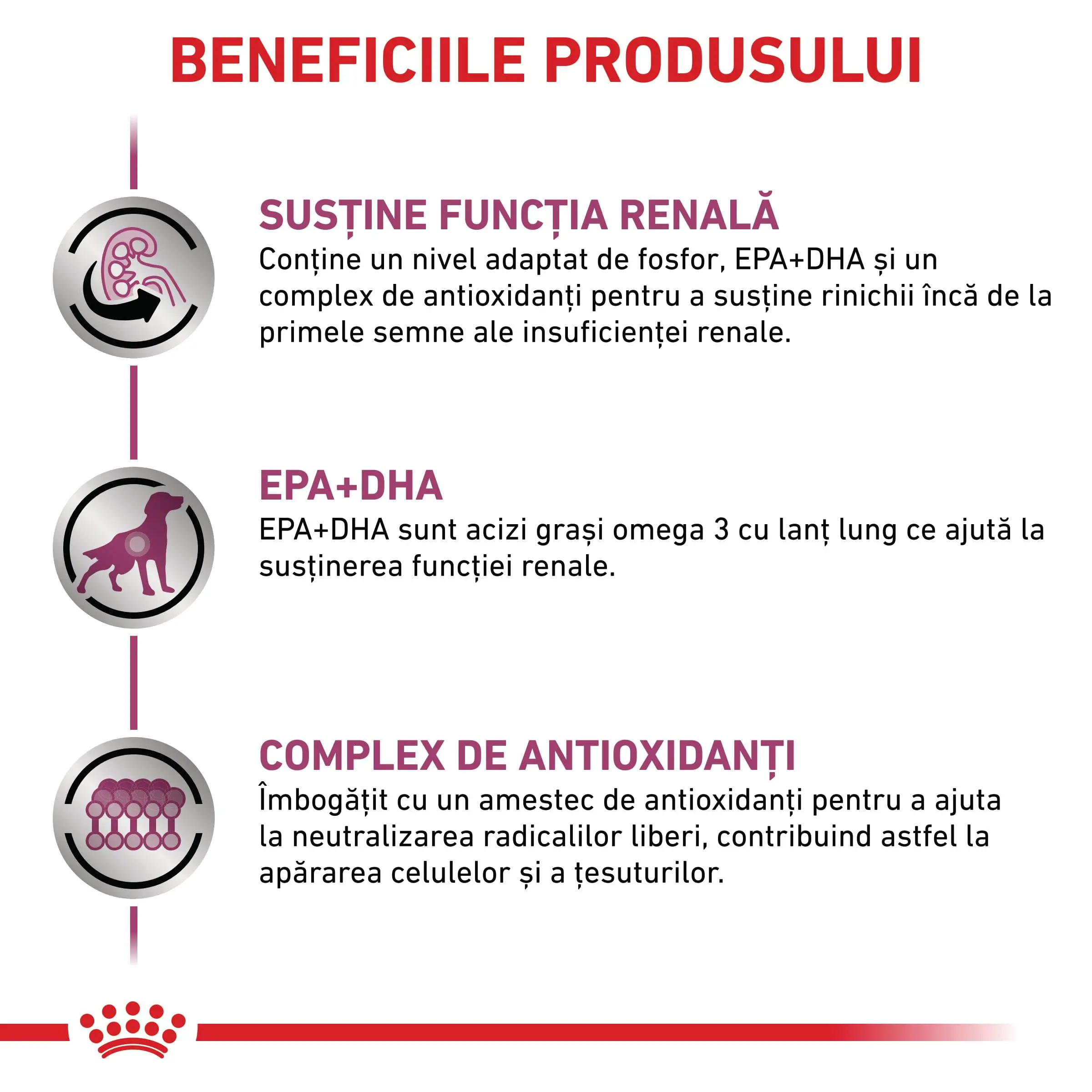 ROYAL CANIN VD Early Renal, XS-XL, dieta veterinara, plic hrana umeda caini, sistem renal, (in sos), bax, 100g x 12buc - Image 4