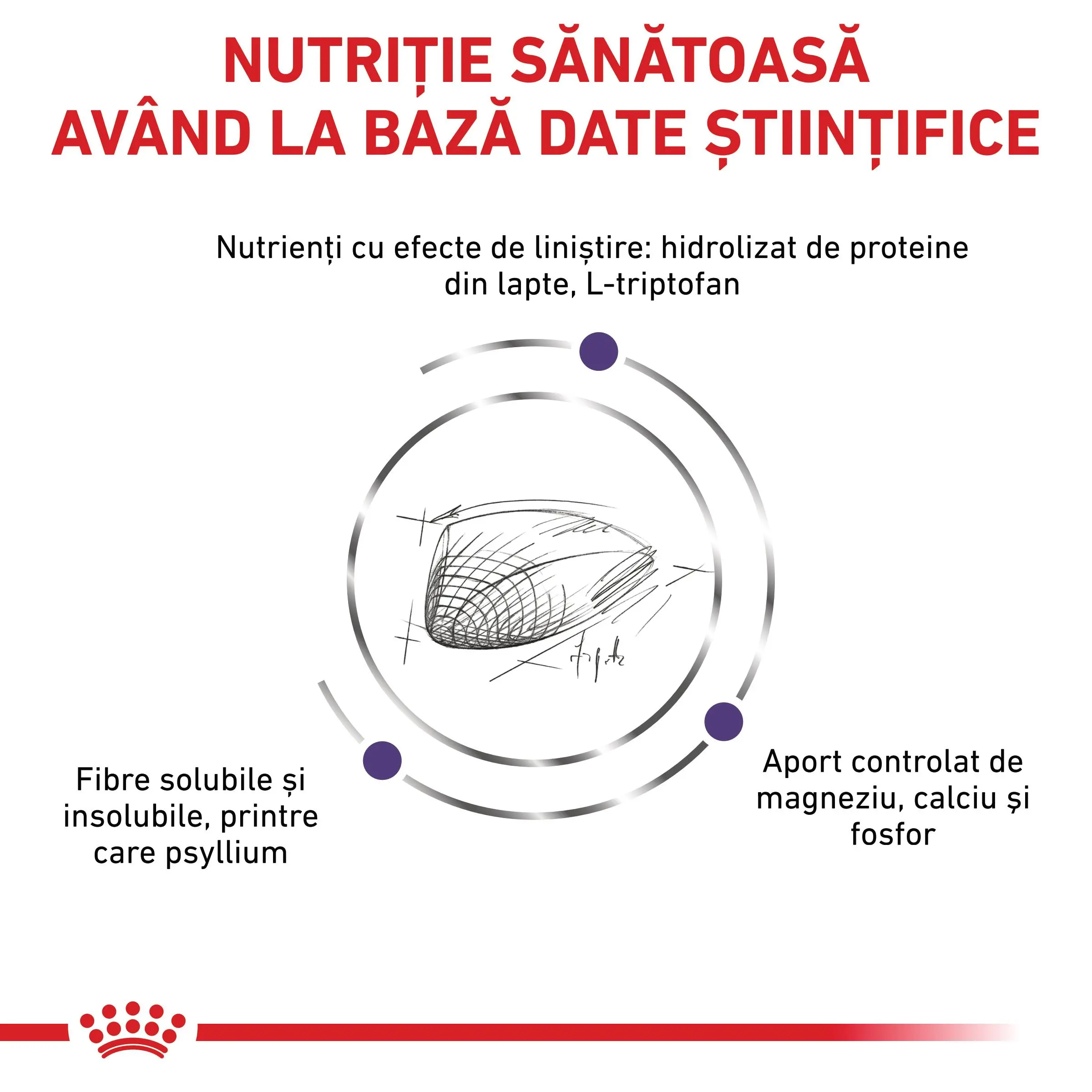 ROYAL CANIN VD Calm, dieta veterinara, hrana uscata pisici, sistem nervos & calmante, 2kg - Image 7