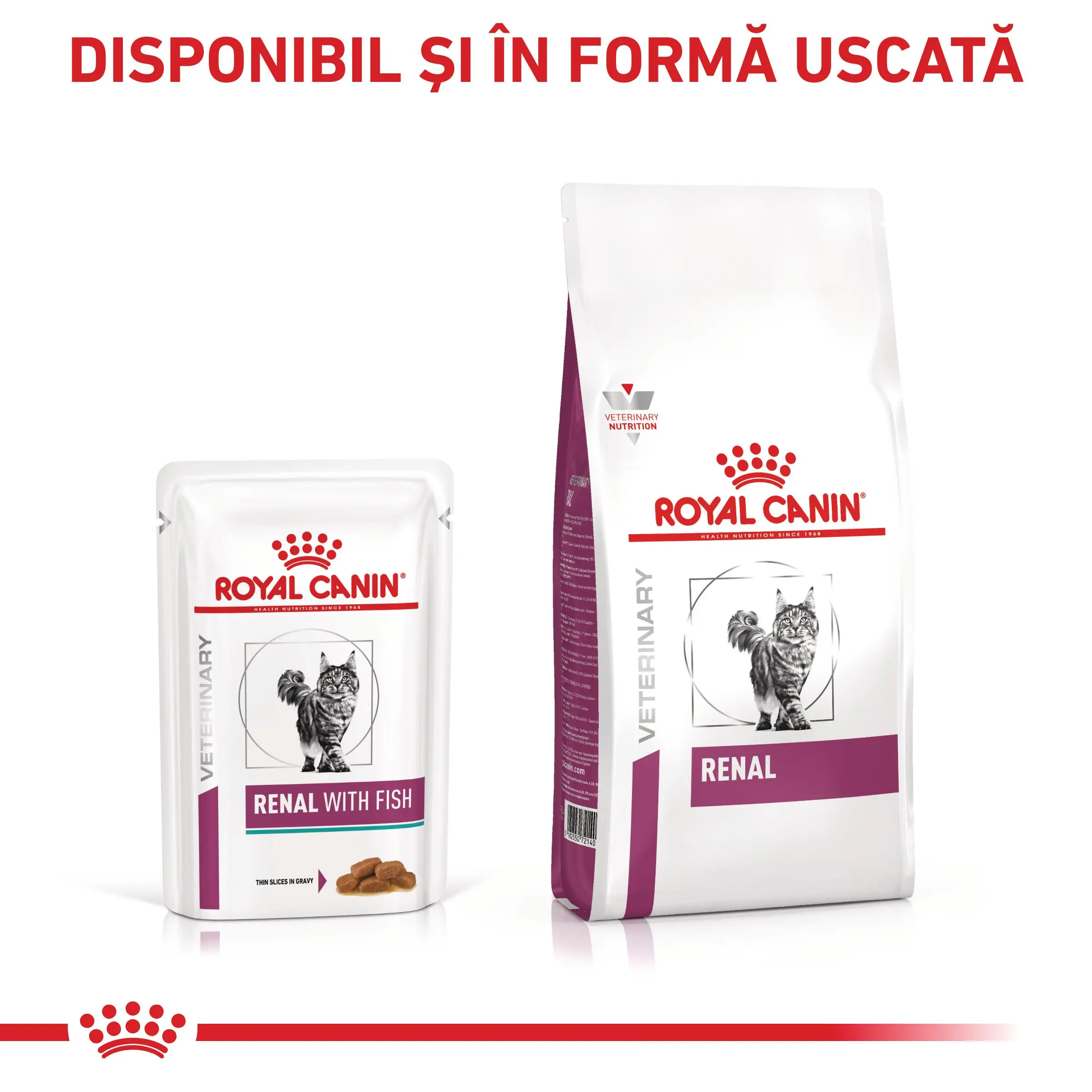 ROYAL CANIN VD Renal, Peste, dieta veterinara, plic hrana umeda pisici, sistem renal, (in sos), bax, 85g x 12buc - Image 8