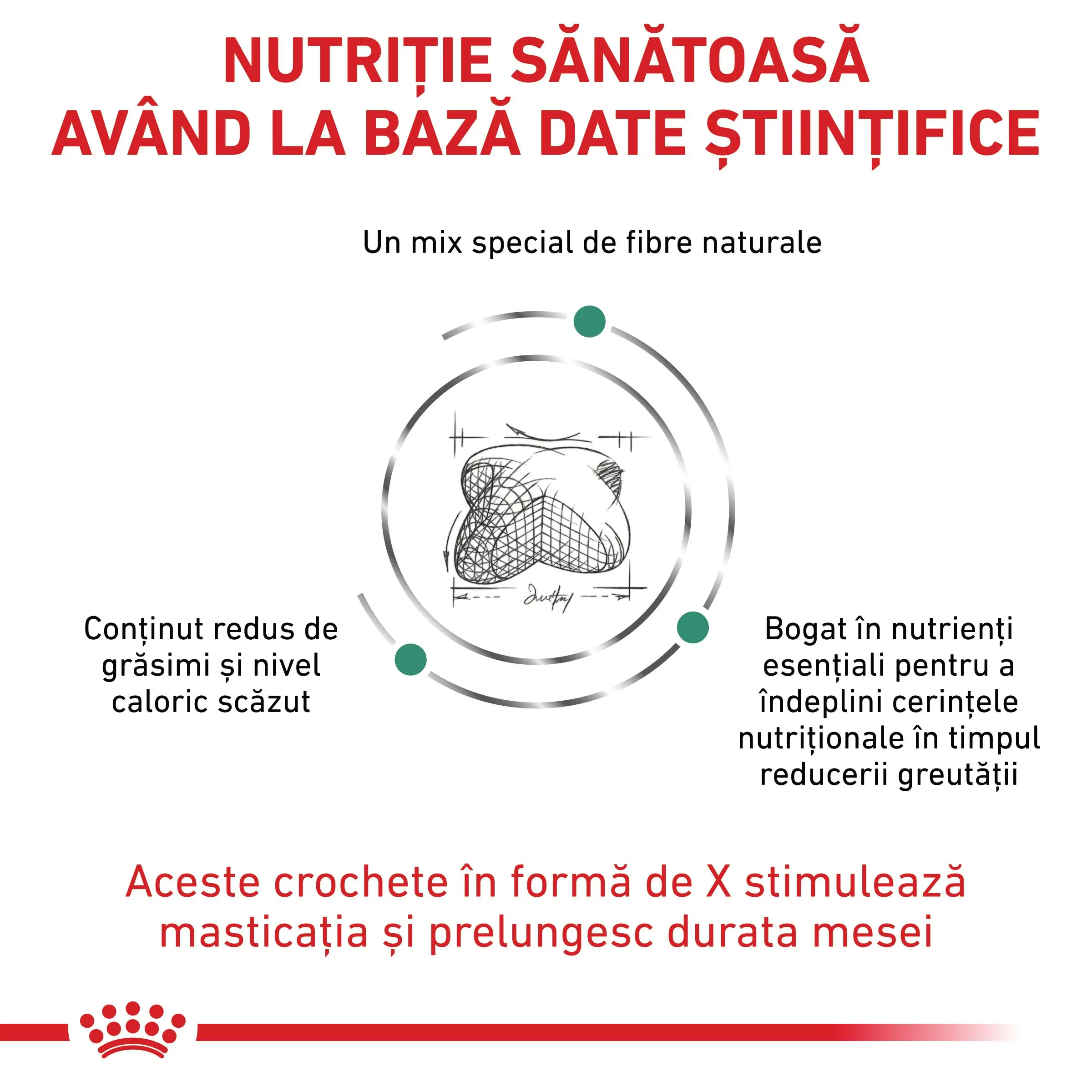 ROYAL CANIN VD Satiety, XS-XL, dieta veterinara, conserva hrana umeda caini, obezitate, (pate), 410g - Image 4