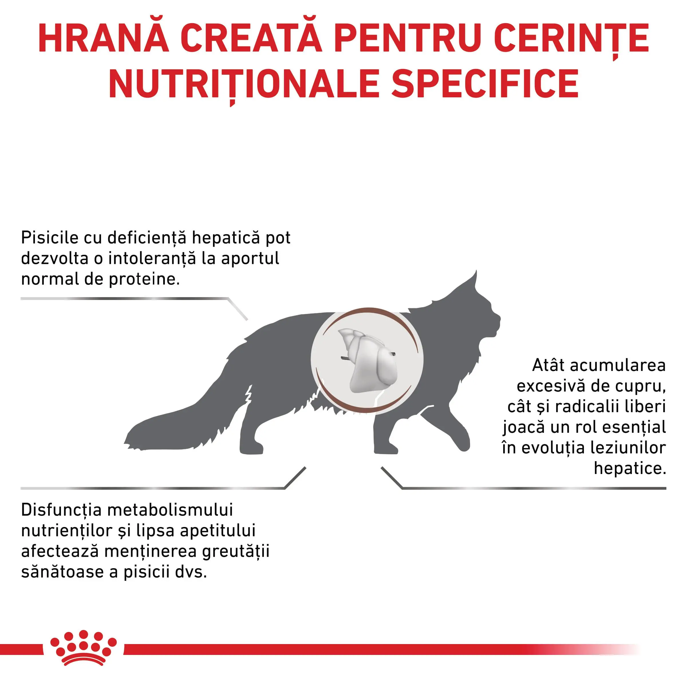 ROYAL CANIN VD Hepatic, dieta veterinara, hrana uscata pisici, suport hepatic, 2kg - Image 3