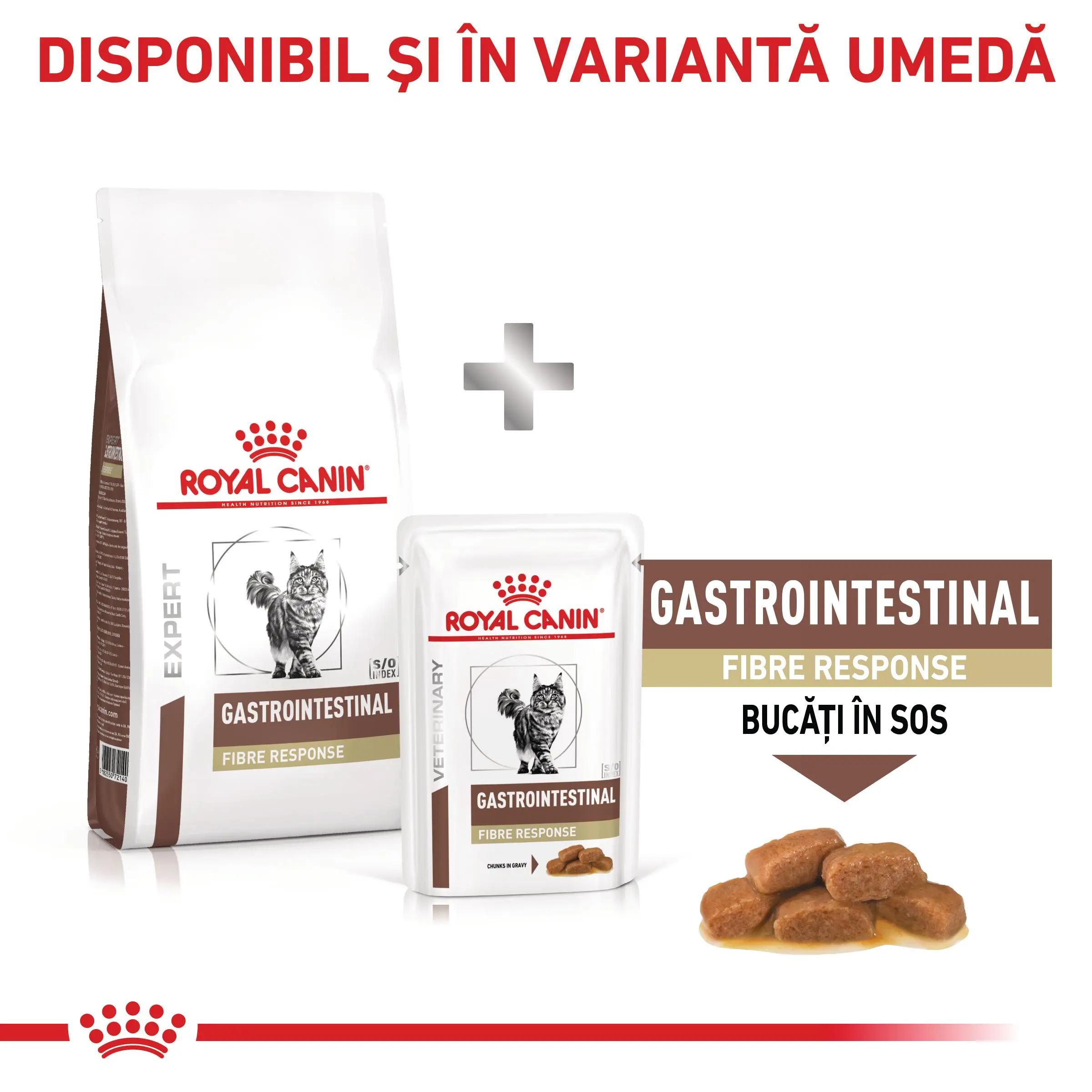 ROYAL CANIN VD Gastrointestinal Fibre Response, dieta veterinara, hrana uscata pisici, sistem digestiv, 2kg - Image 9