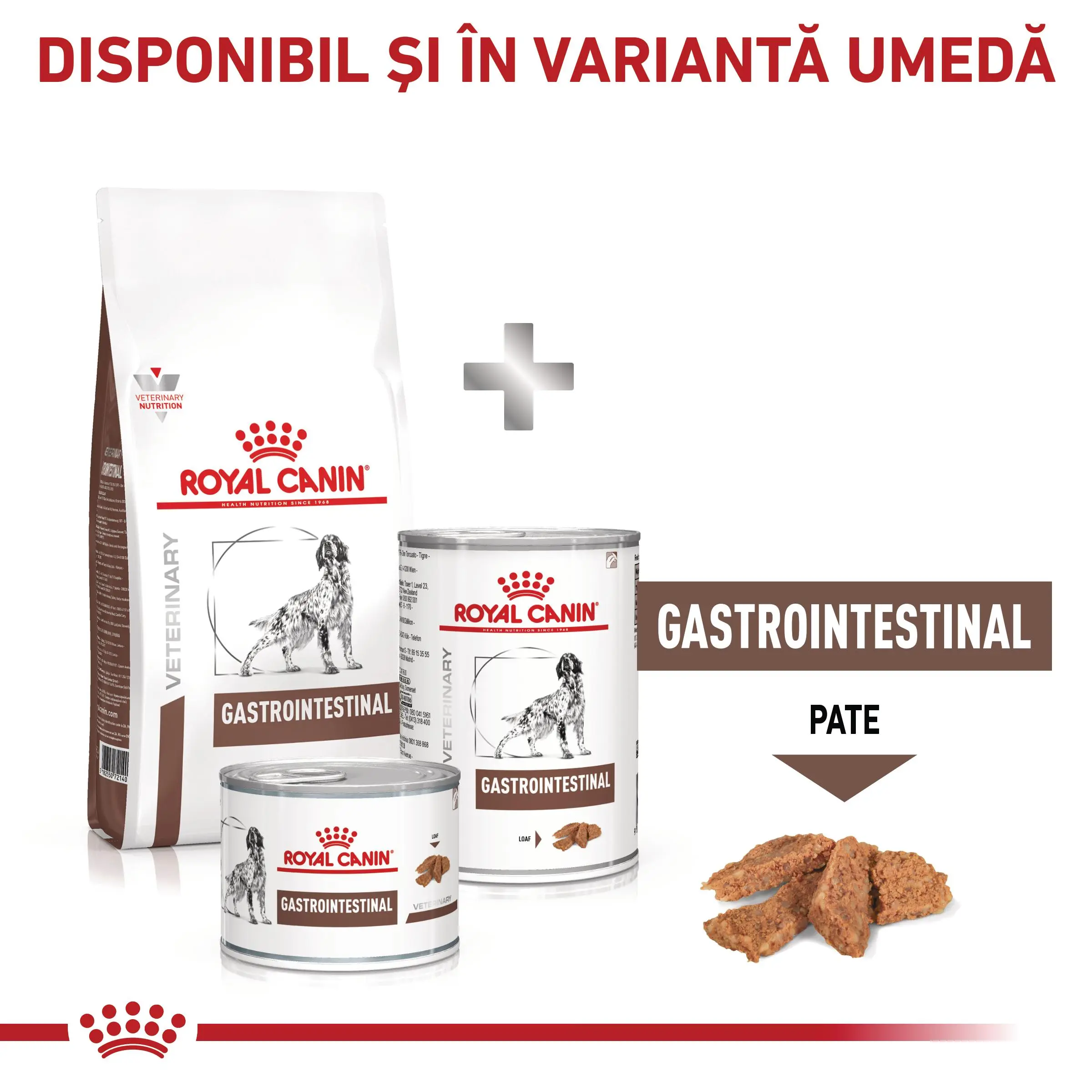 ROYAL CANIN VD Gastrointestinal, M-XL, dieta veterinara, hrana uscata caini, sistem digestiv, 15kg - Image 9