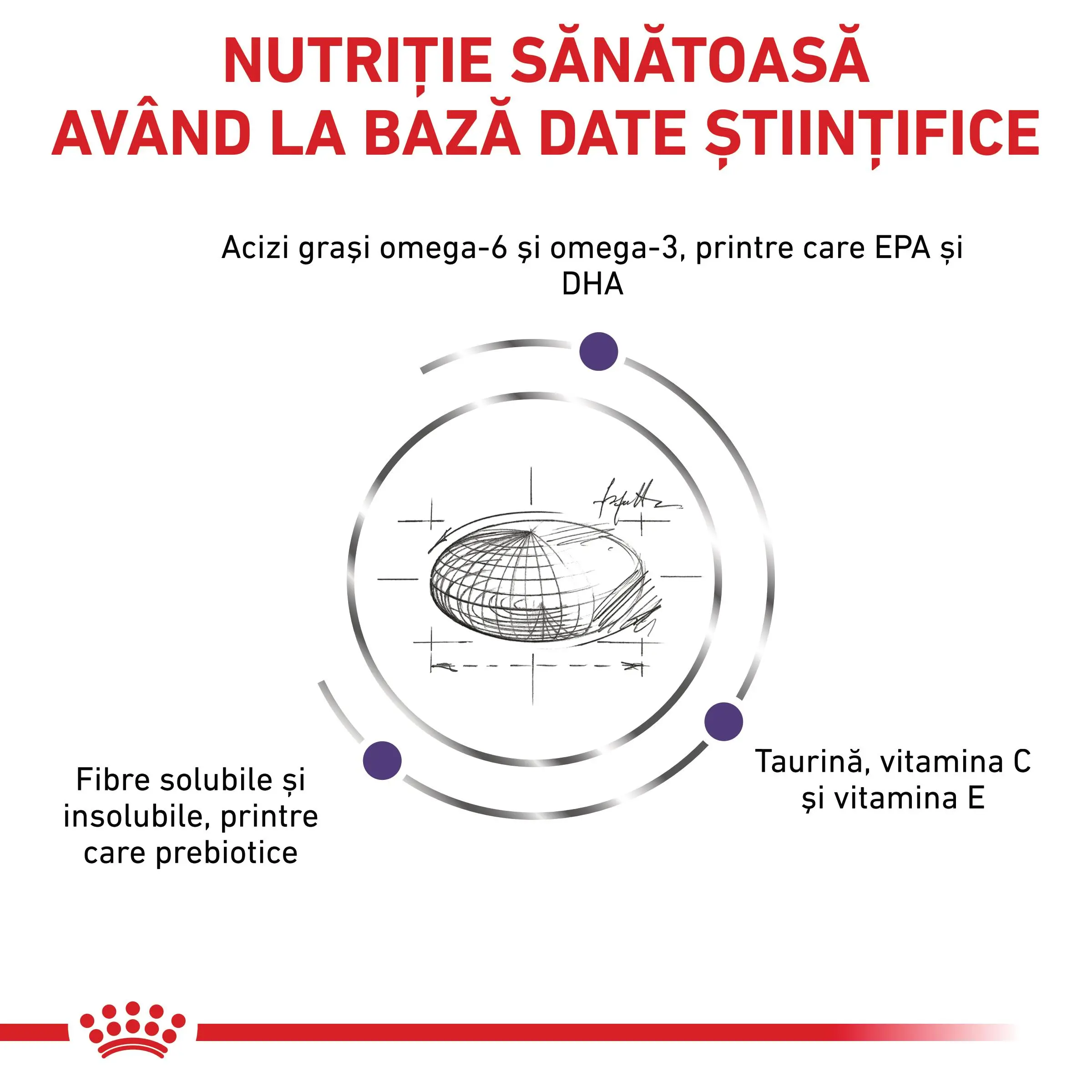 ROYAL CANIN VD Adult Medium Dog, M, dieta veterinara, hrana uscata caini, 10kg - Image 7