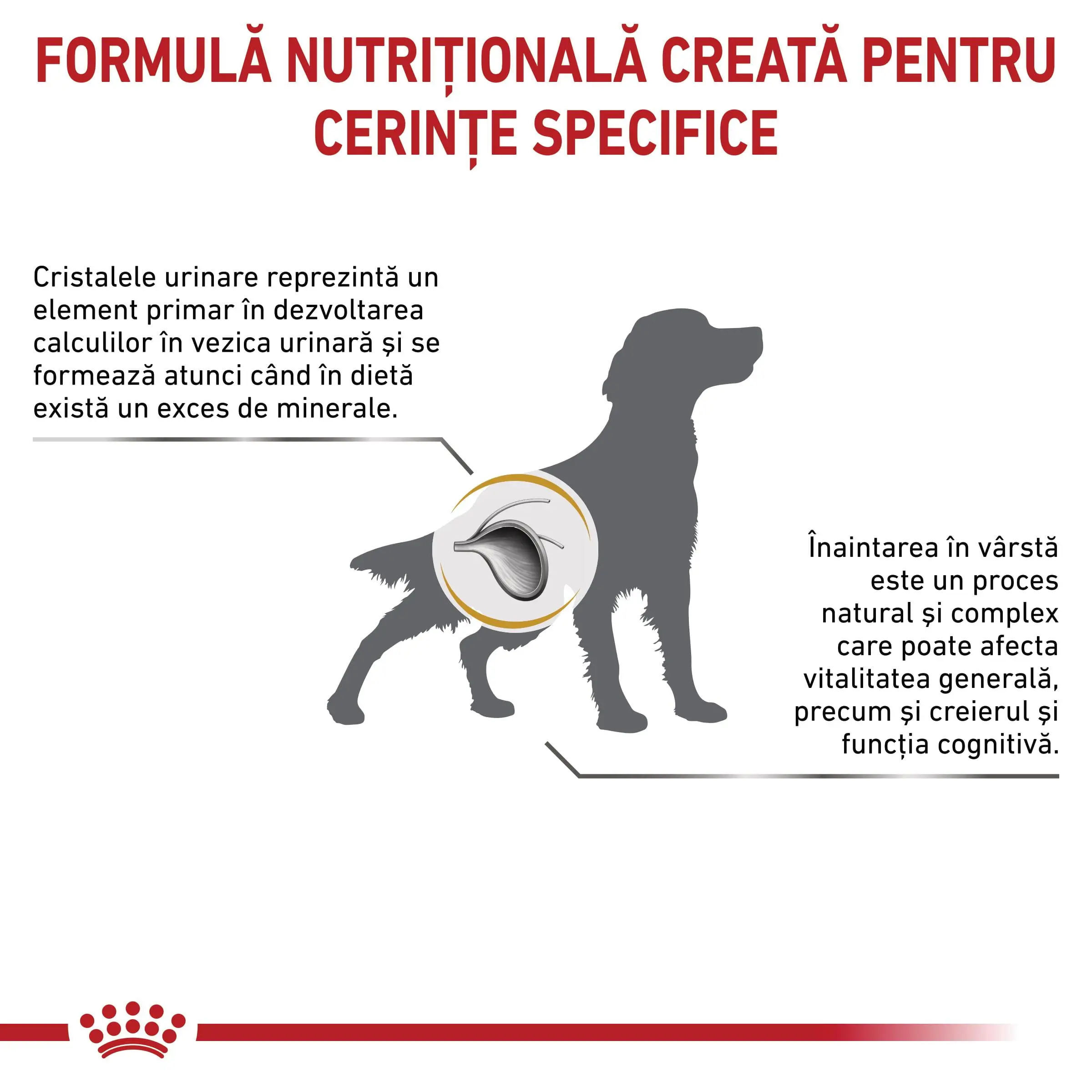 ROYAL CANIN VD Urinary S/O Ageing 7+, S-XL, dieta veterinara, hrana uscata caini senior, sistem urinar, 8kg - Image 3