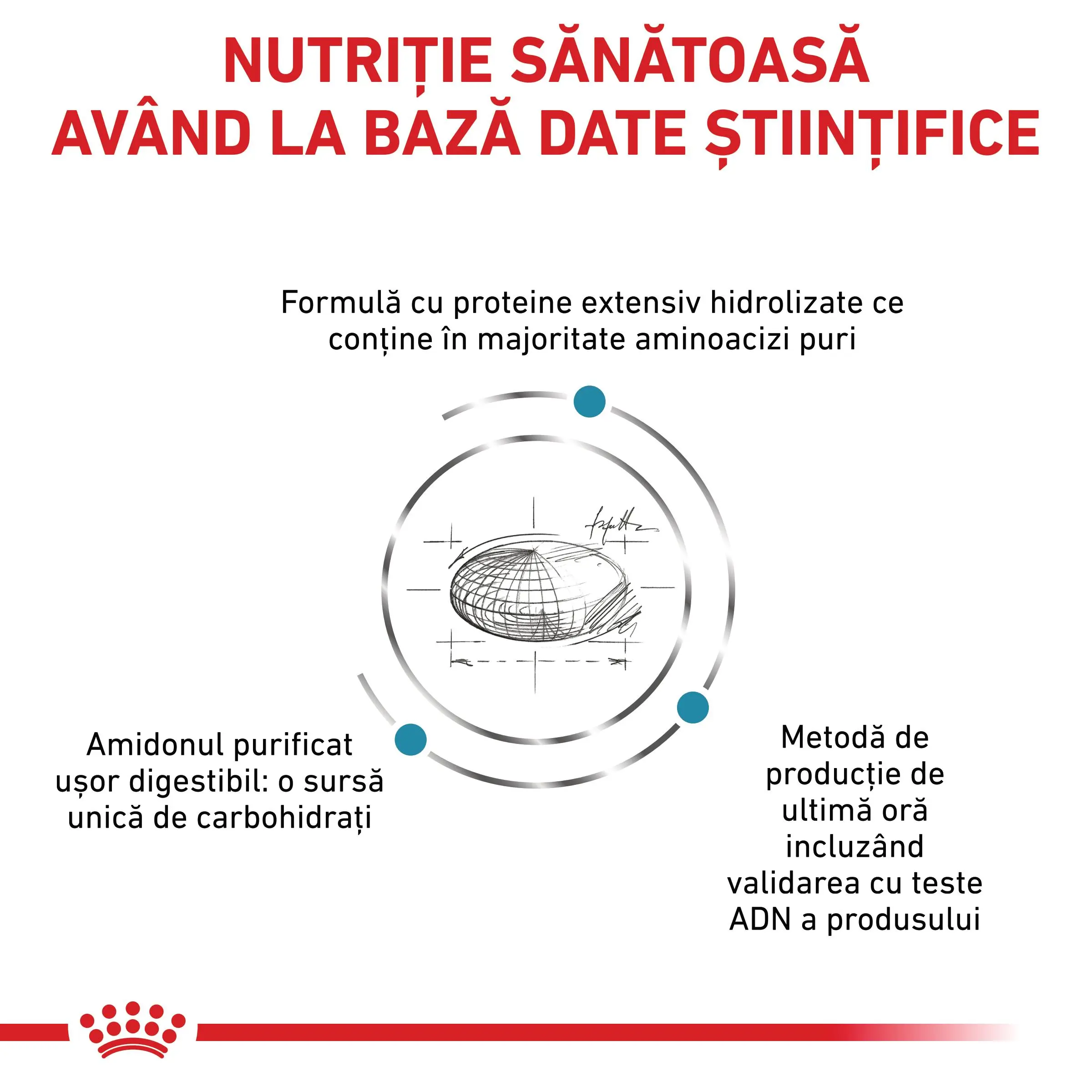ROYAL CANIN VD Anallergenic, dieta veterinara, hrana uscata pisici, alergii, 4kg - Image 7