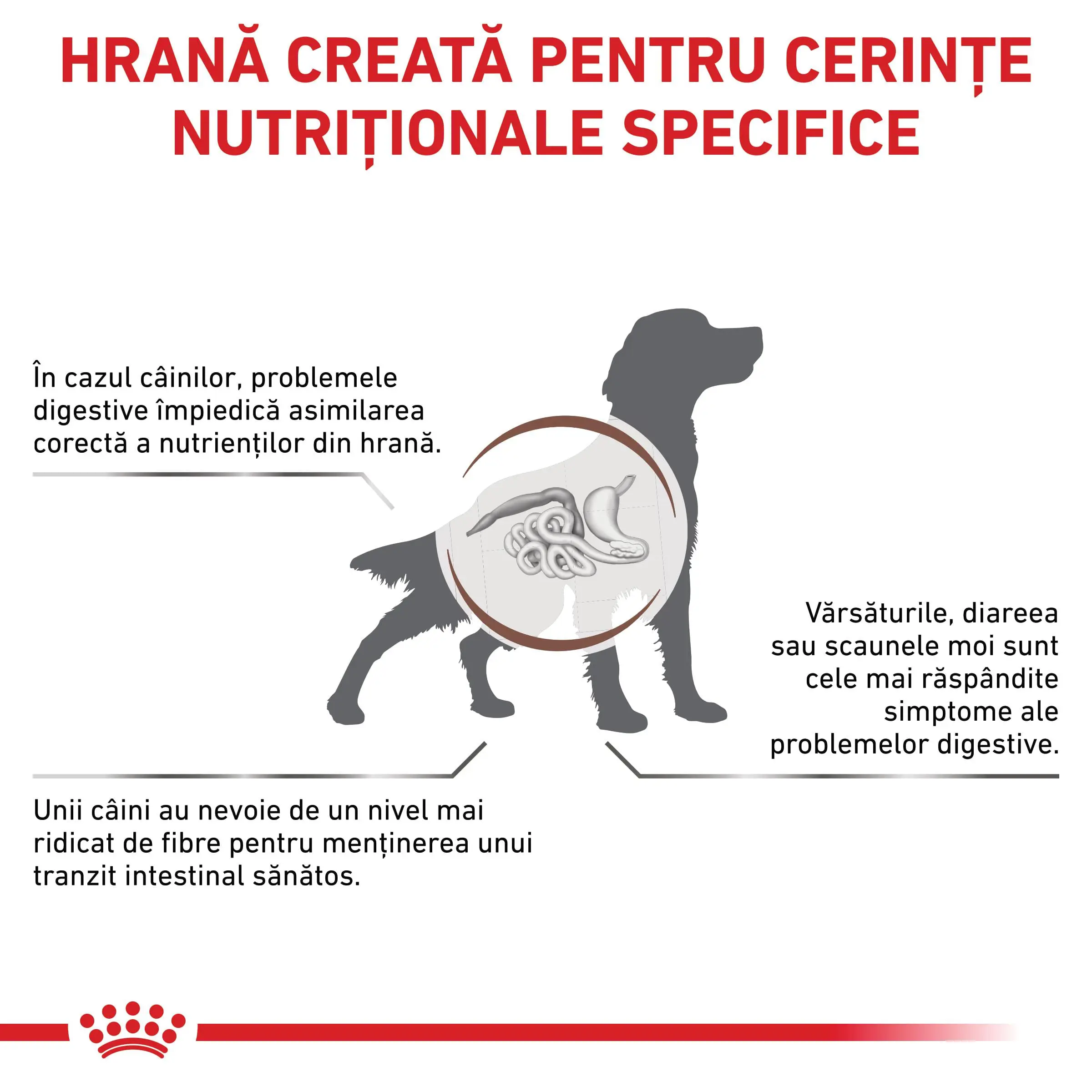 ROYAL CANIN VD Gastrointestinal High Fibre, XS-XL, dieta veterinara, conserva hrana umeda caini, sistem digestiv, (pate), 200g - Image 3