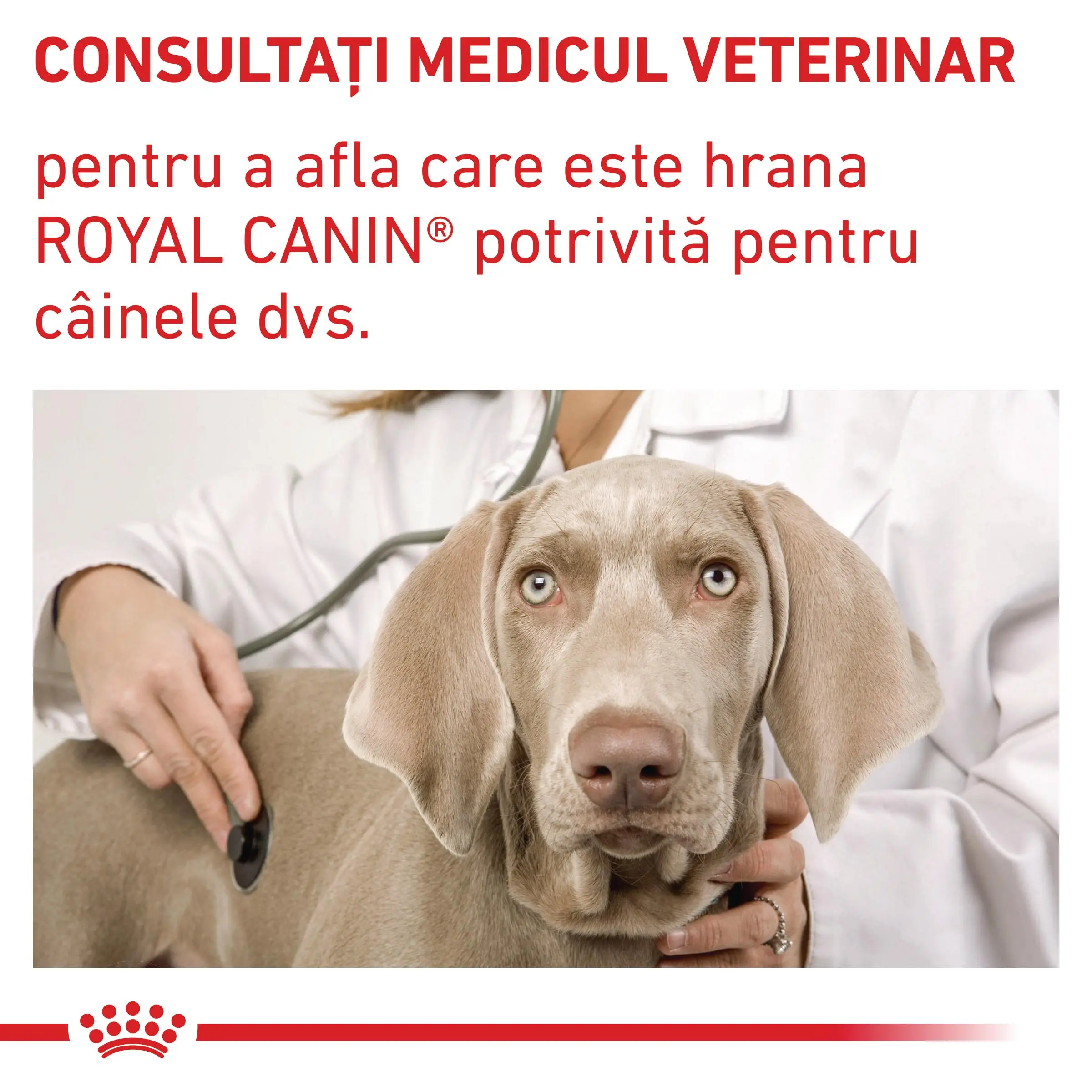 ROYAL CANIN VD Adult Medium Dog, M, dieta veterinara, hrana uscata caini, 10kg - Image 8